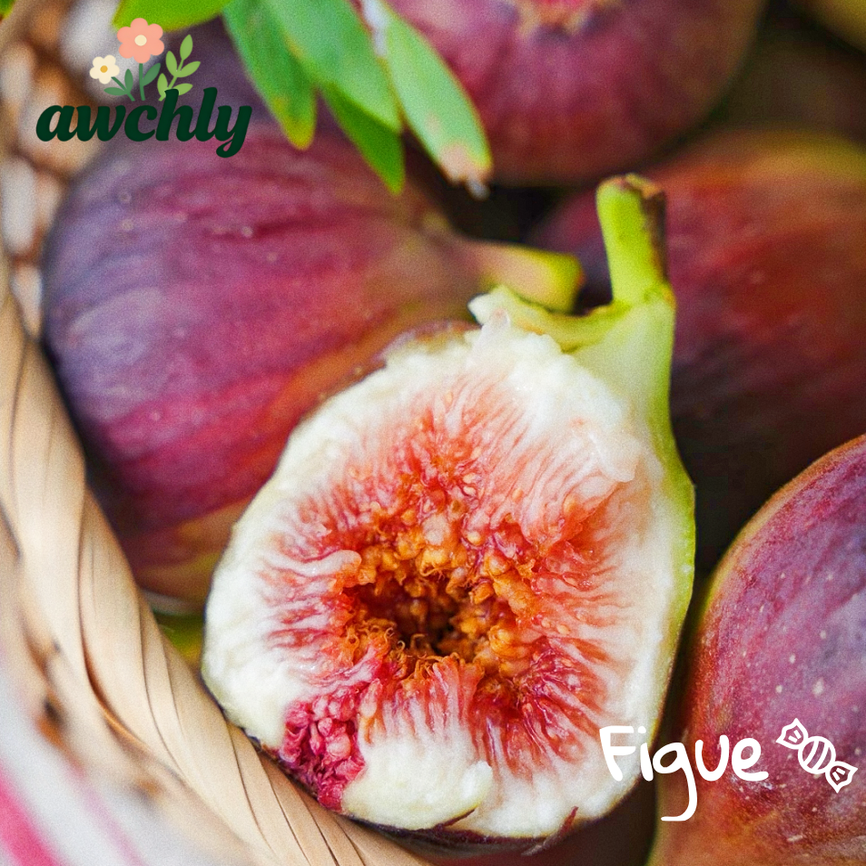 🌟 Graines de figuier – le bonbon qui pousse sur l’arbre
