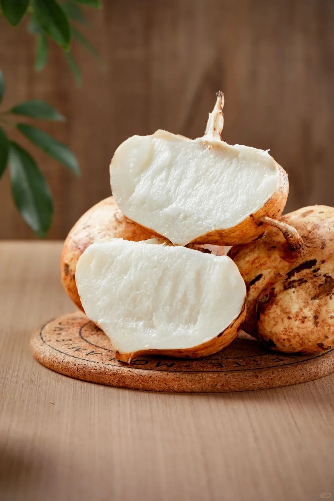 À cultiver chez soi — jicama croquant, juteux et naturellement sucré 🍠