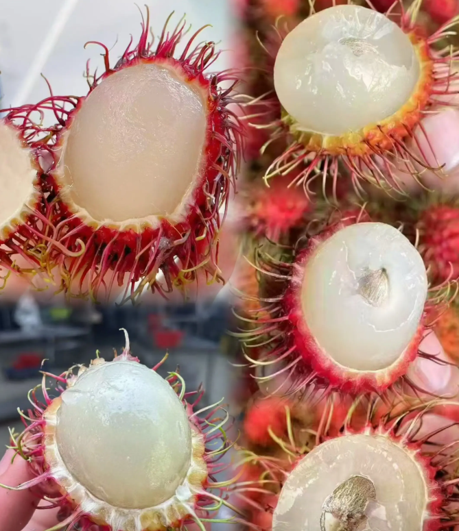 Rambutan | Fruit tropical exotique · Doux et juteux · Saveur rappelant le litchi 🍈🌴