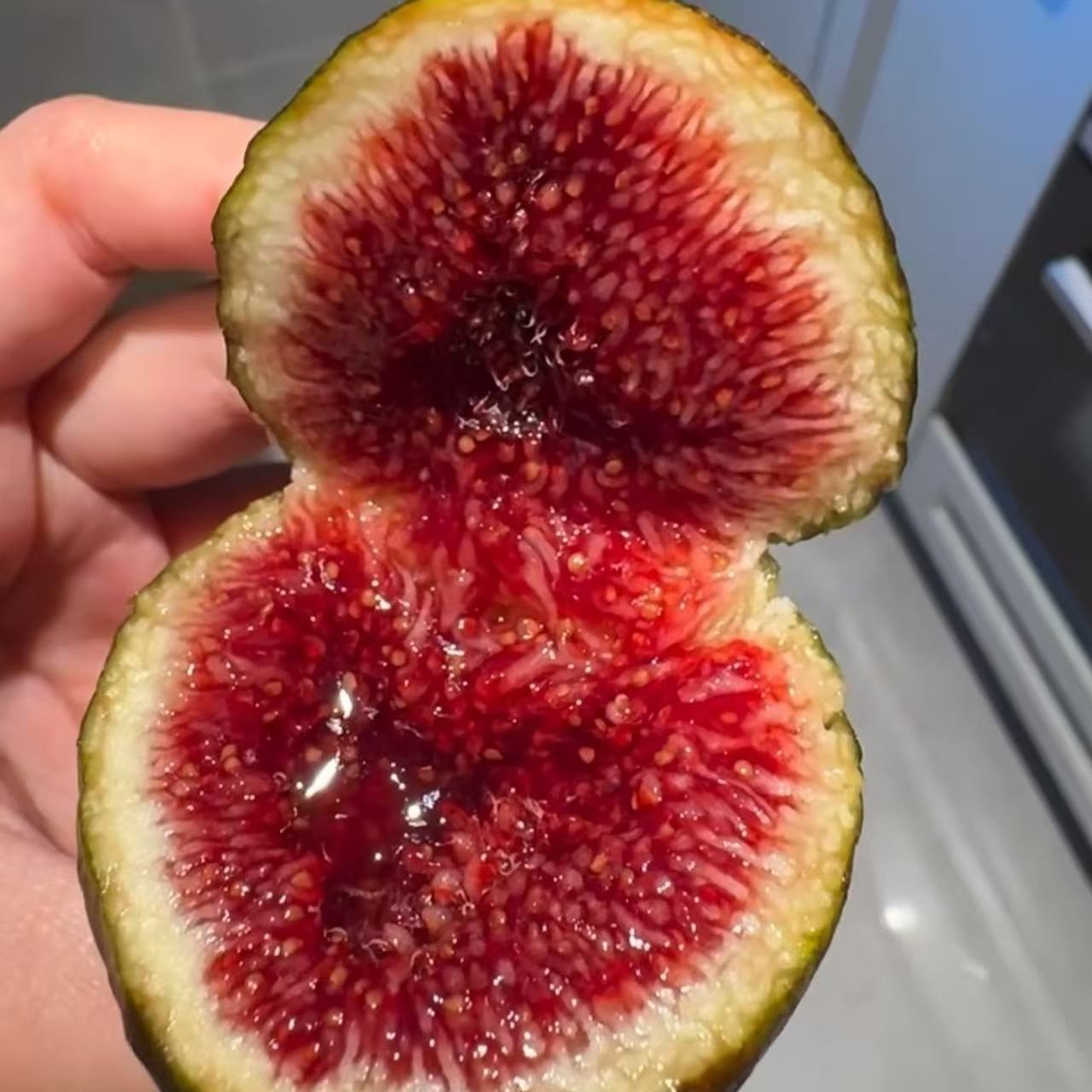 🌟 Graines de figuier – le bonbon qui pousse sur l’arbre