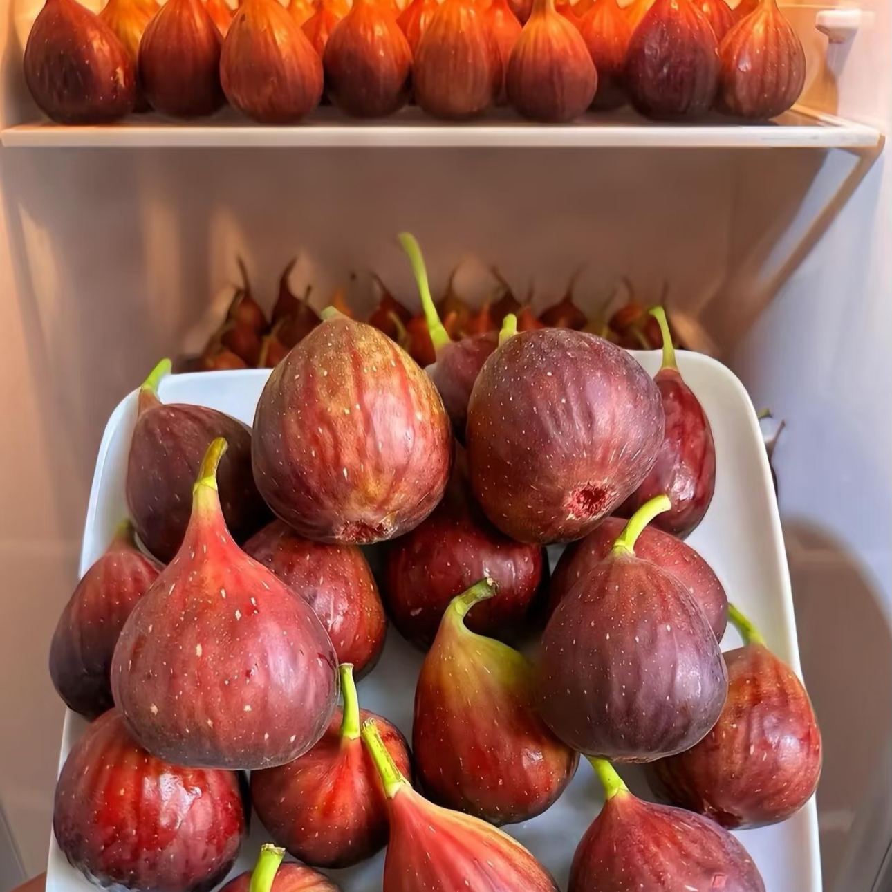 🌟 Graines de figuier – le bonbon qui pousse sur l’arbre
