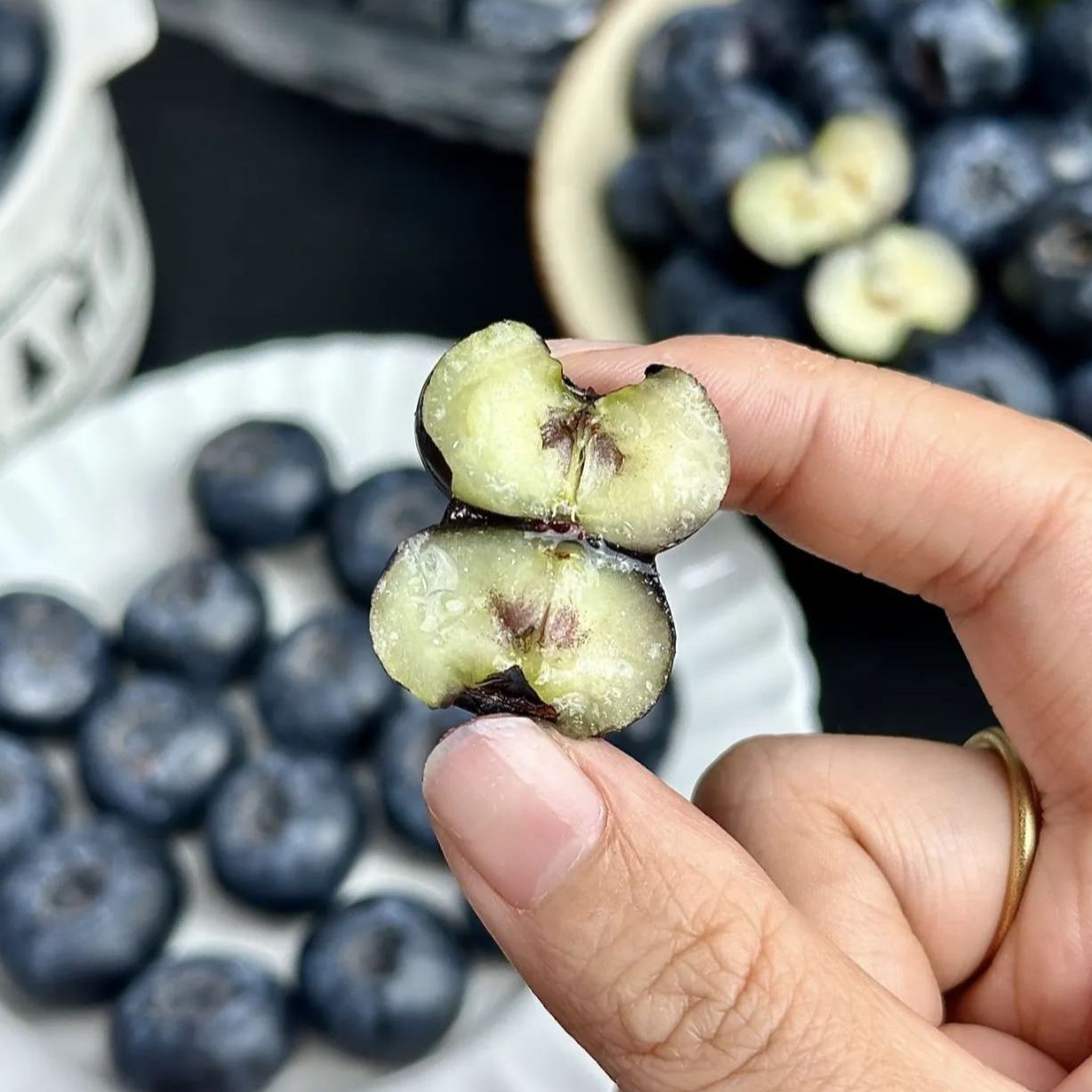 🍒 Graines de myrtilles géantes — Le roi des baies (4 saisons) 🍒