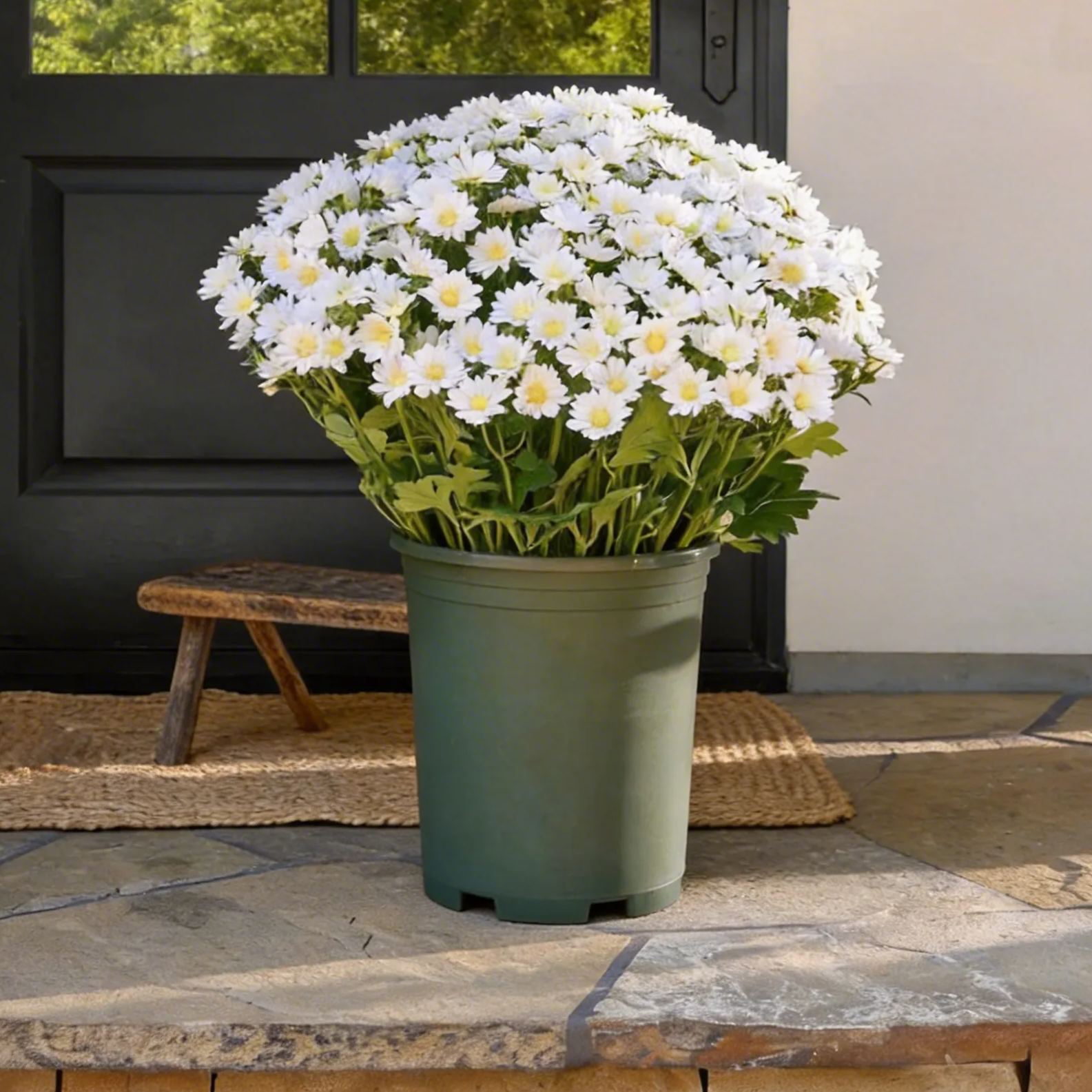 ☀️ Crépuscule printanier – Chrysanthème artificiel coucher de soleil