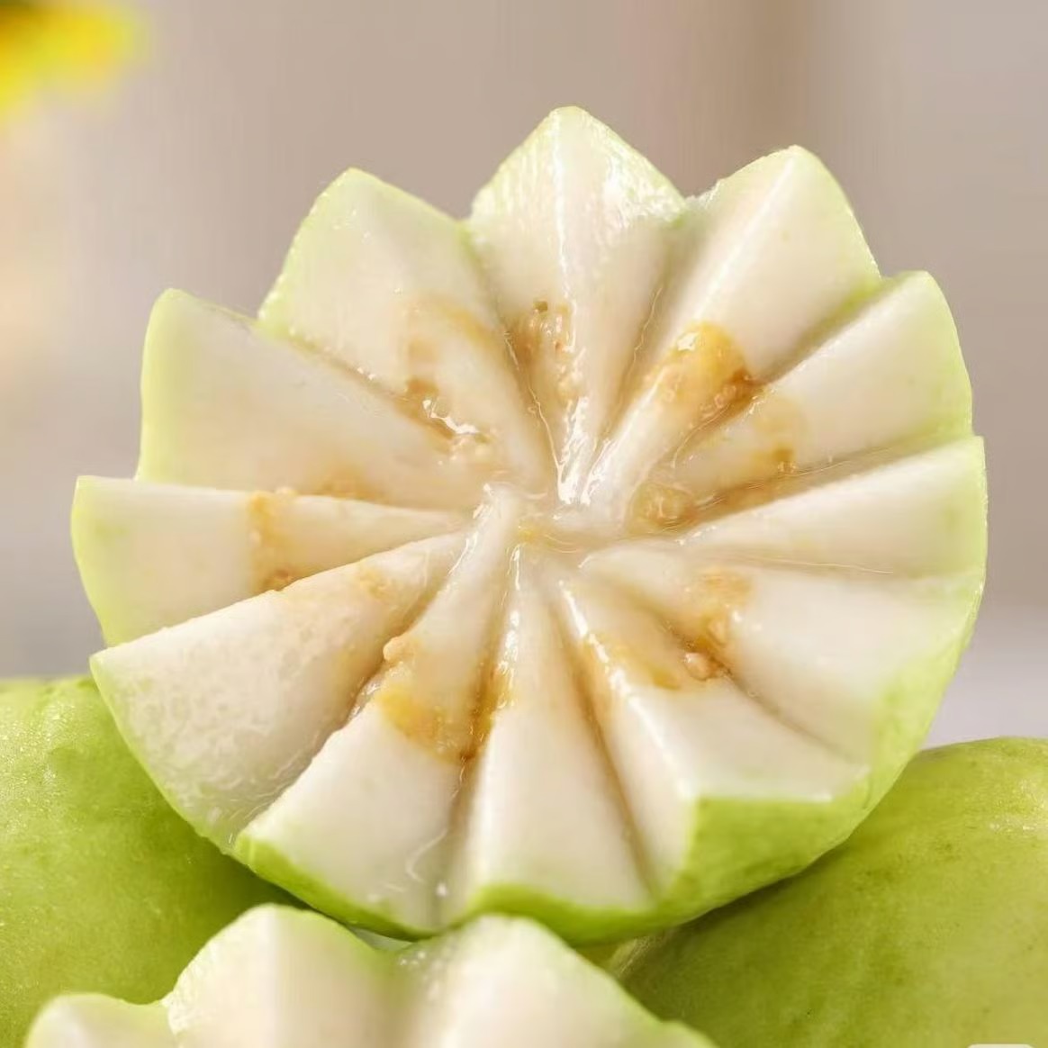 🔥 (Nouvelle récolte) Graines biologiques de goyave rose | 🌿 Pré-germées pour un taux de germination élevé (99 % de germination)