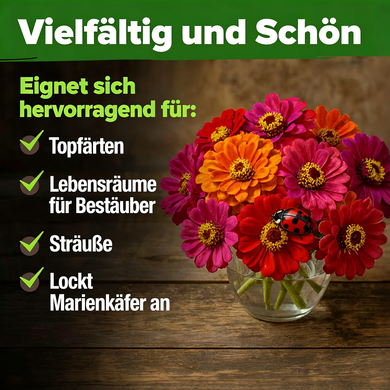 Zinniensamen