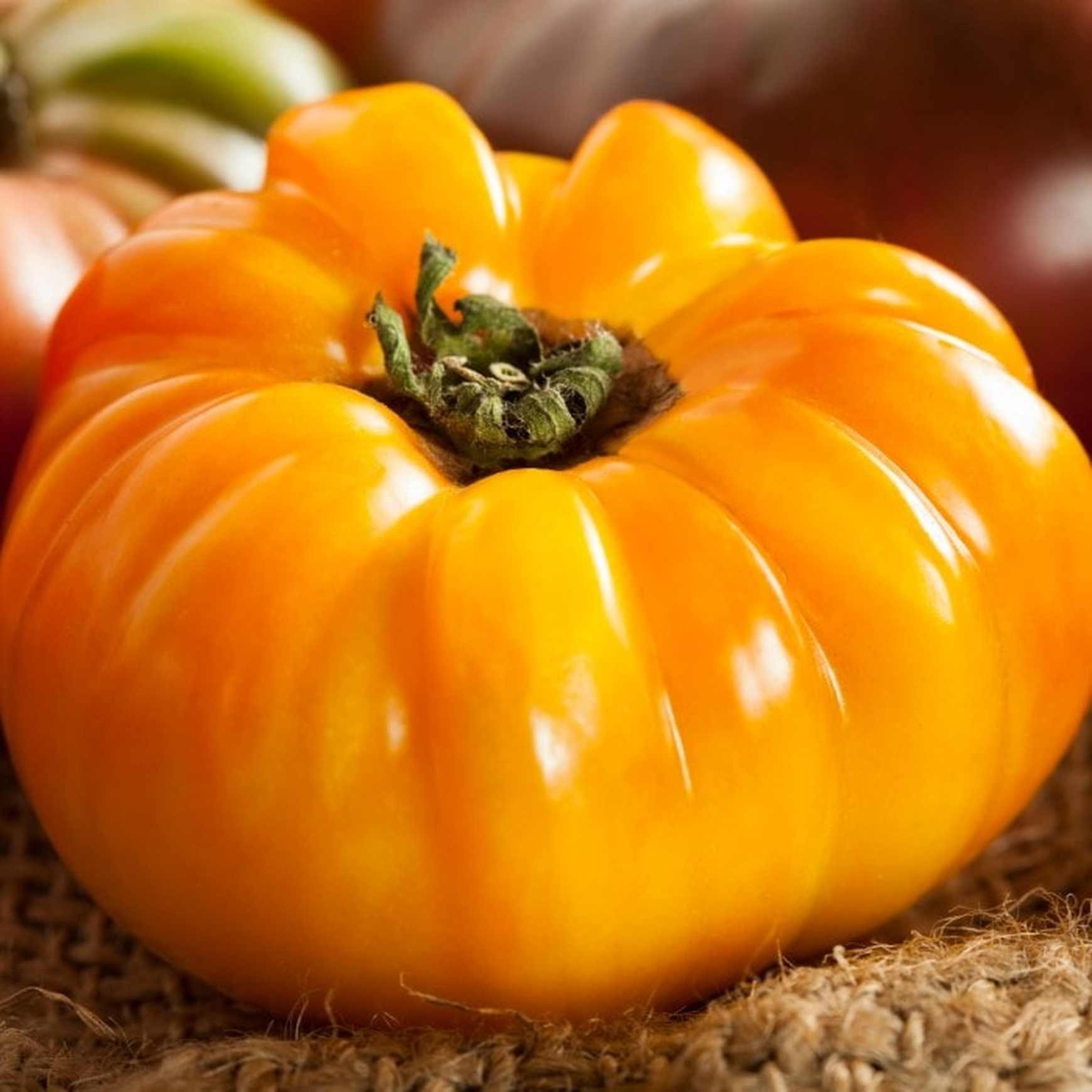 🍅 Pineapple Tomato Seeds – Sweet, Juicy, and Easy to Grow  Bring the joy of homegrown tomatoes to your garden or balcony!