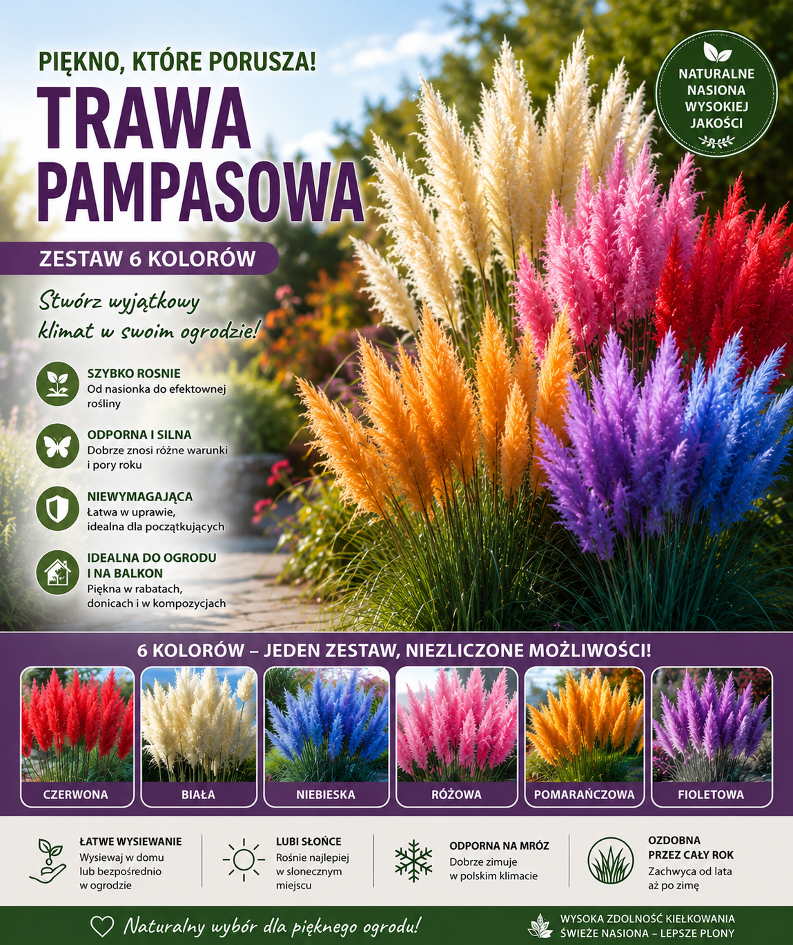 🌾 Nasiona trawy pampasowej | Niezbędne do Twojego ogrodu, piękne przez cały rok, dzięki którym z łatwością wyhodujesz wspaniałe morze kwiatów ✨