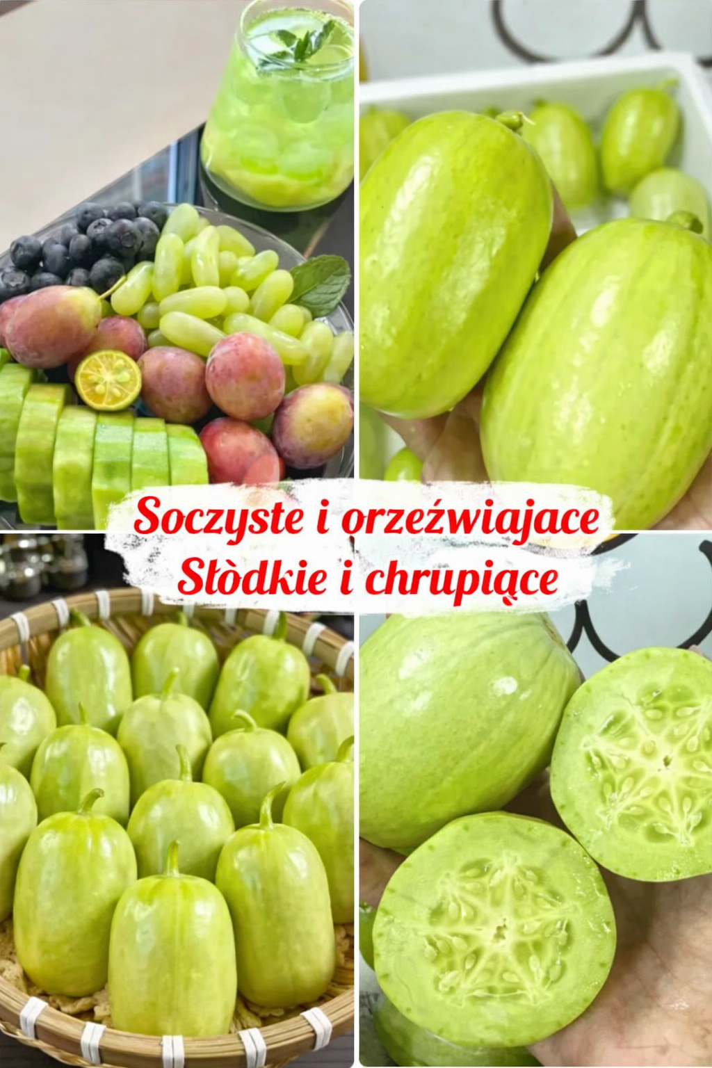 🌟Kolorowe nasiona ogórka – chrupiący i orzeźwiający wybór do ogrodu i na balkon🥒