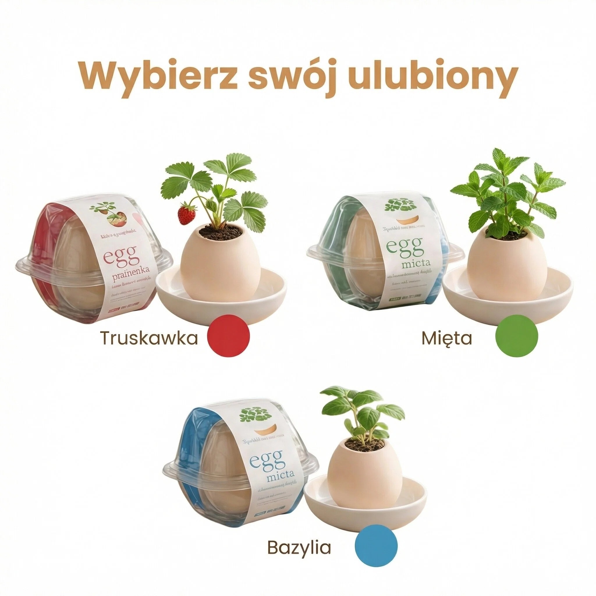 Wielkanocne Jajko do Sadzenia Mały prezent, który zamienia się w zieloną radość