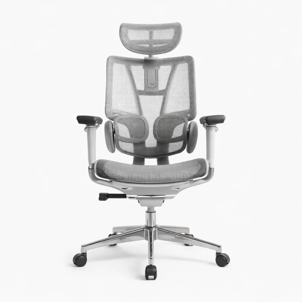 Chaise Ergonomique avec Soutien Lombaire et Accoudoirs Réglables