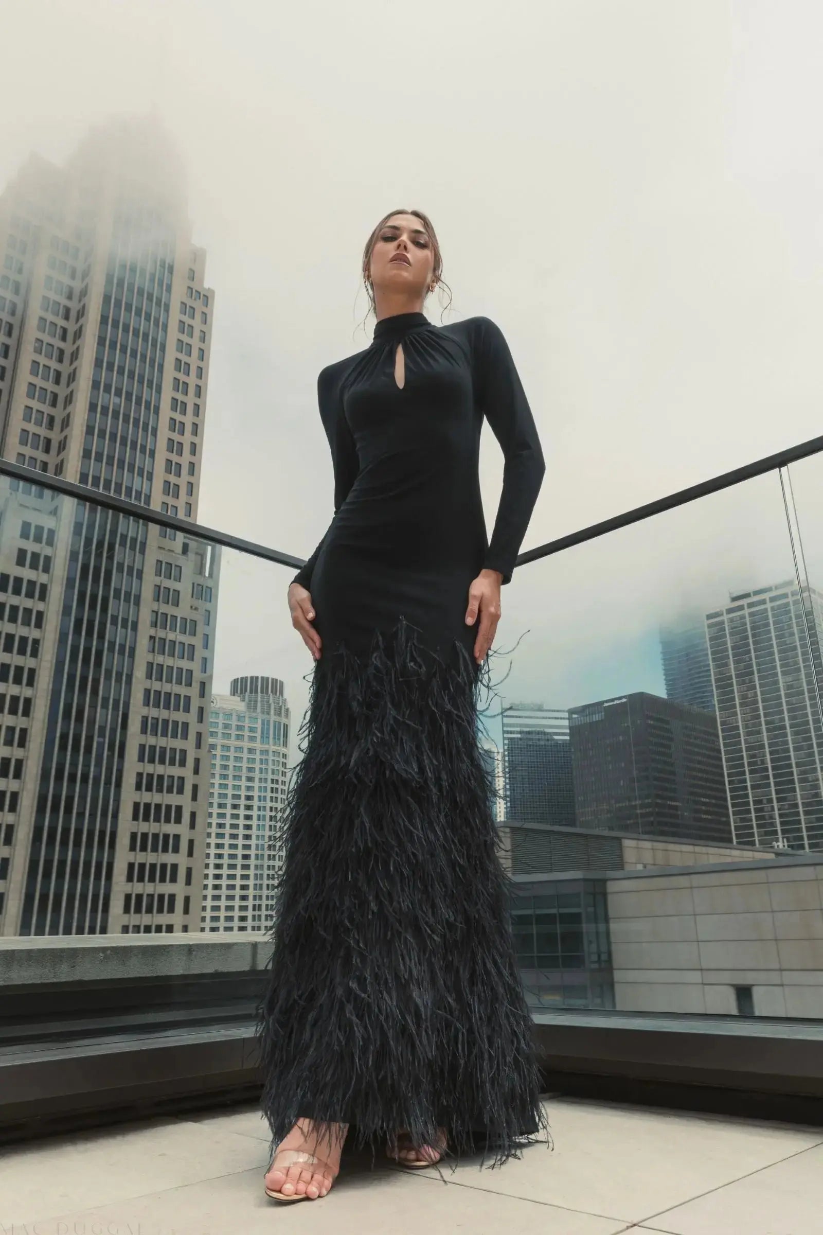 Black Long Sleeve High Neck Feather Trim Gown-Myartka