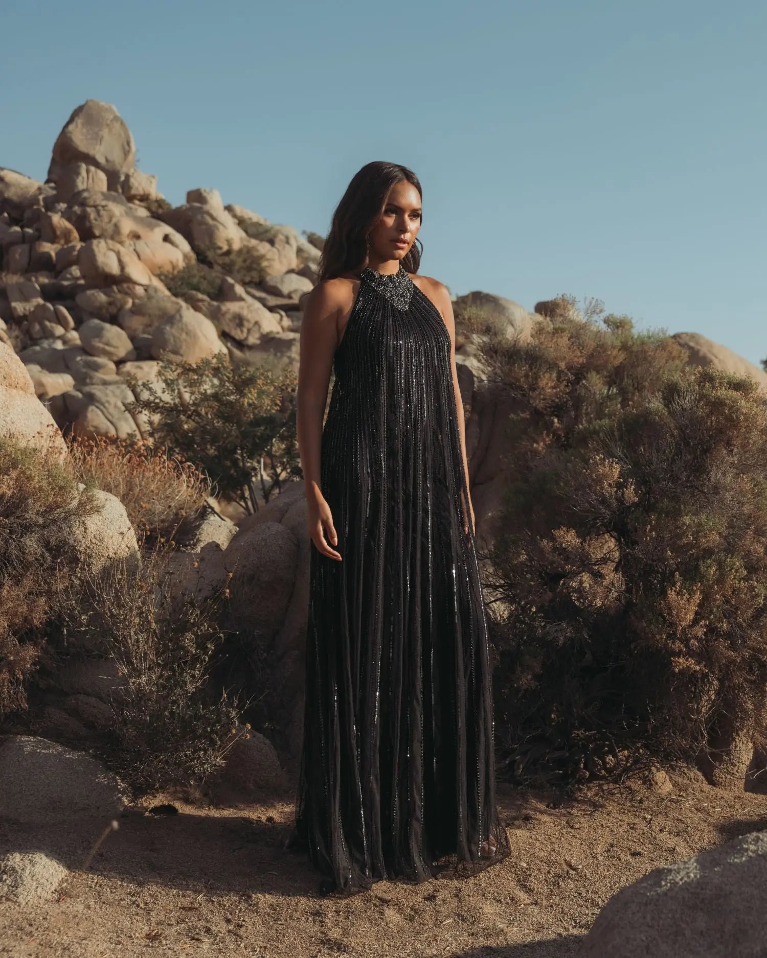 Black Sleeveless Halter Neck Embellished Trapeze Gown-Myartka