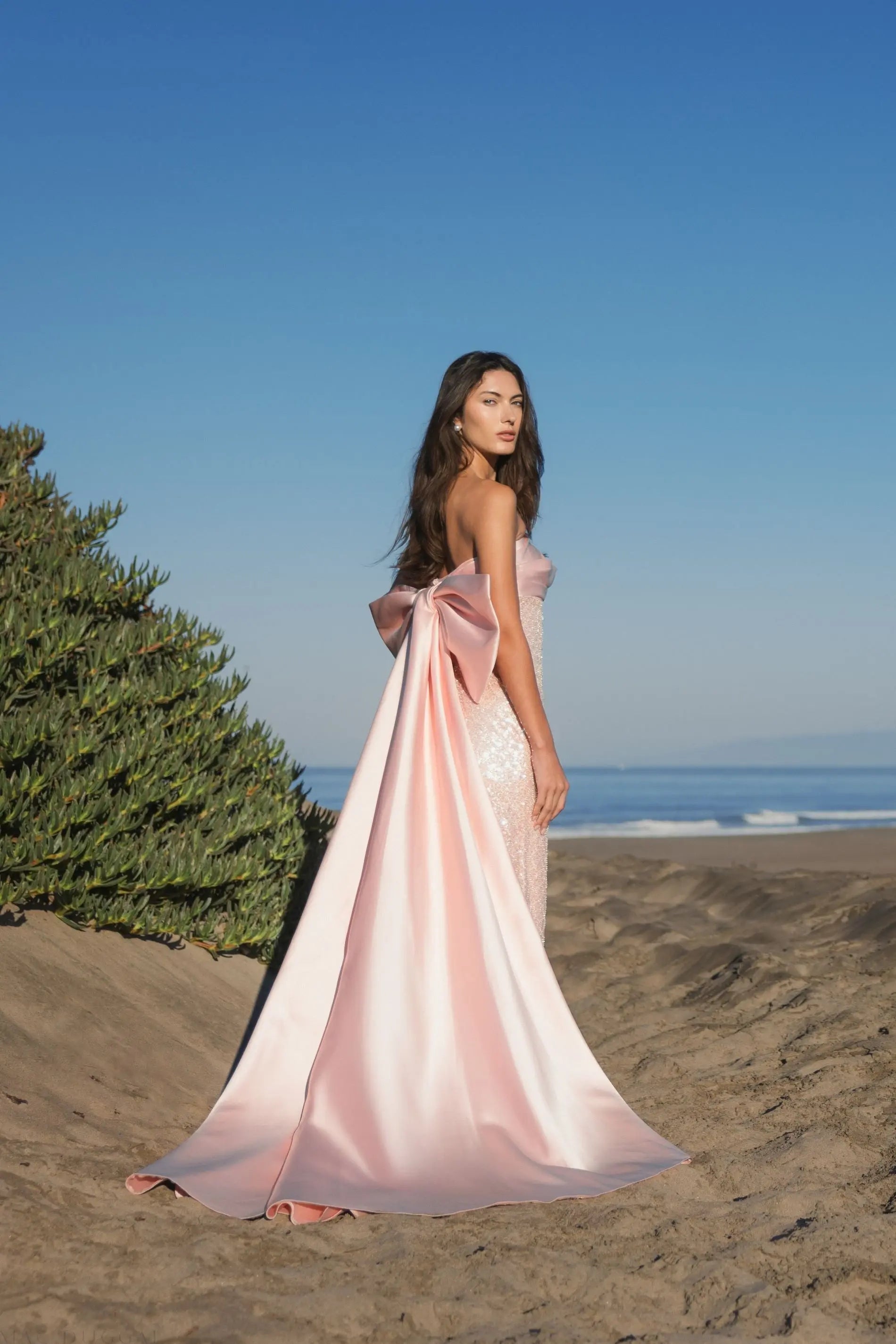 Pink Strapless Embellished Gown With Back Bow Detail-Myartka