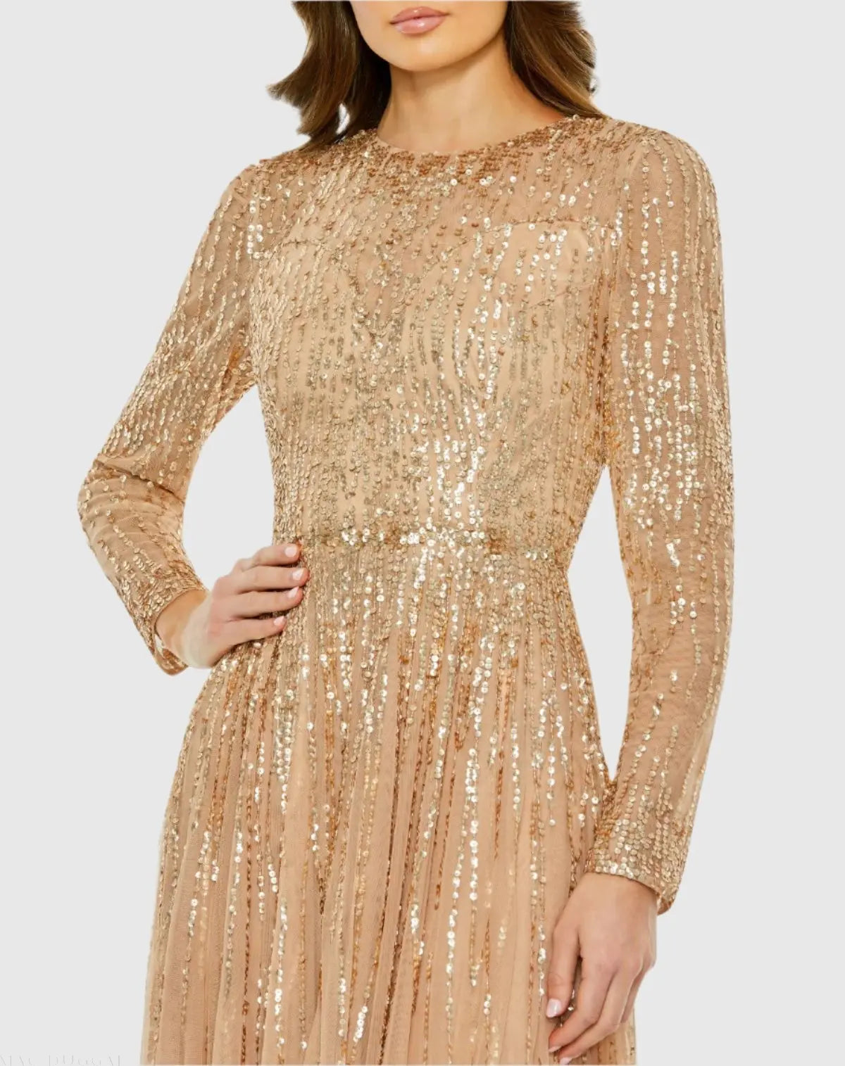 Beige Illusion High Neck Long Sleeve Embellished Gown-Myartka
