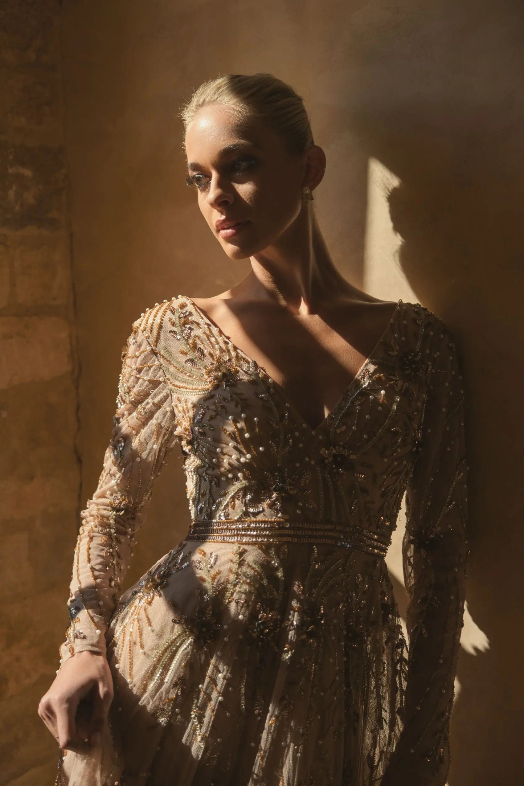 Beige Embellished Sheer Sleeve A-Line Gown-Myartka