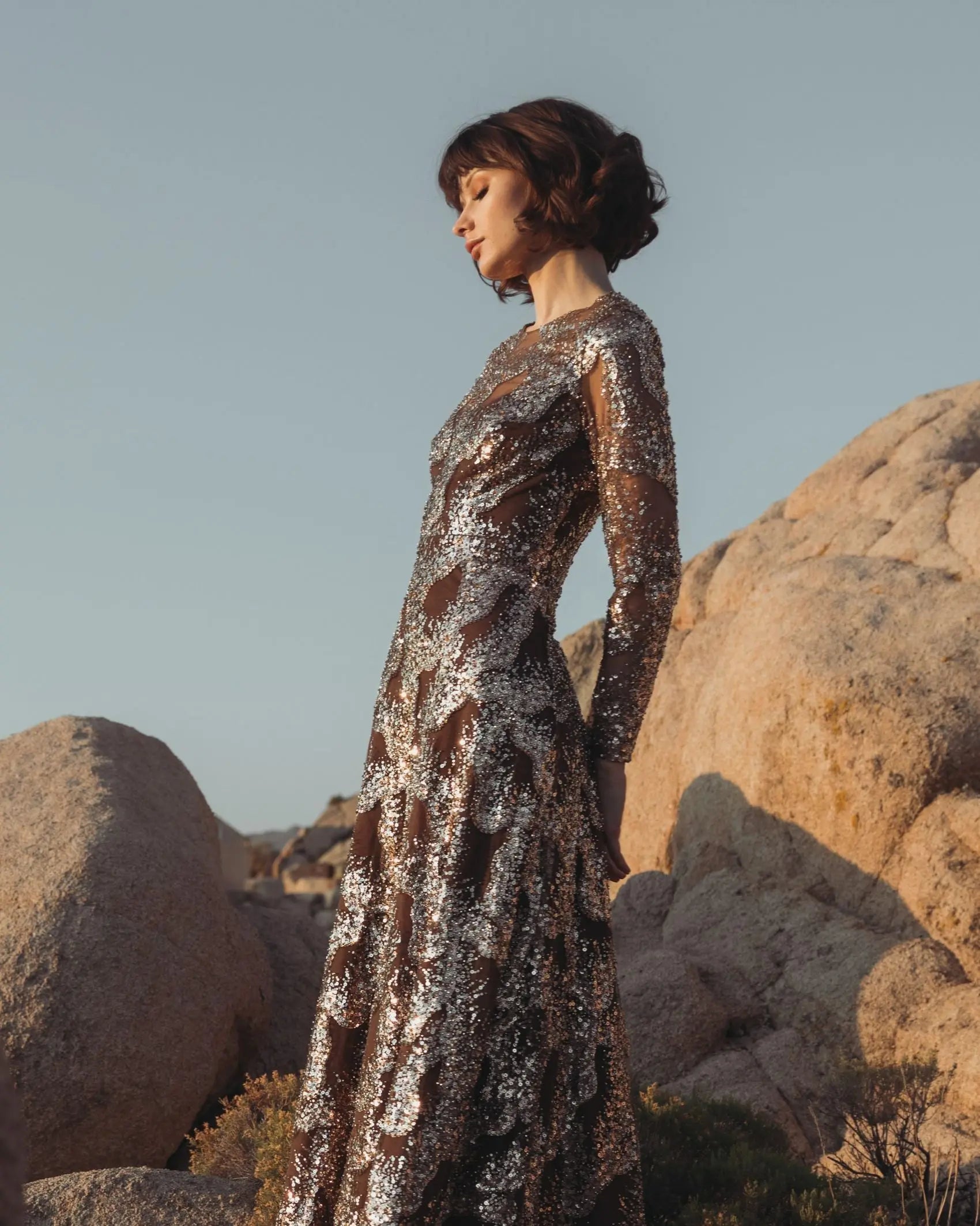 Brown Embellished Long Sleeve High Neck Evening Gown-Myartka