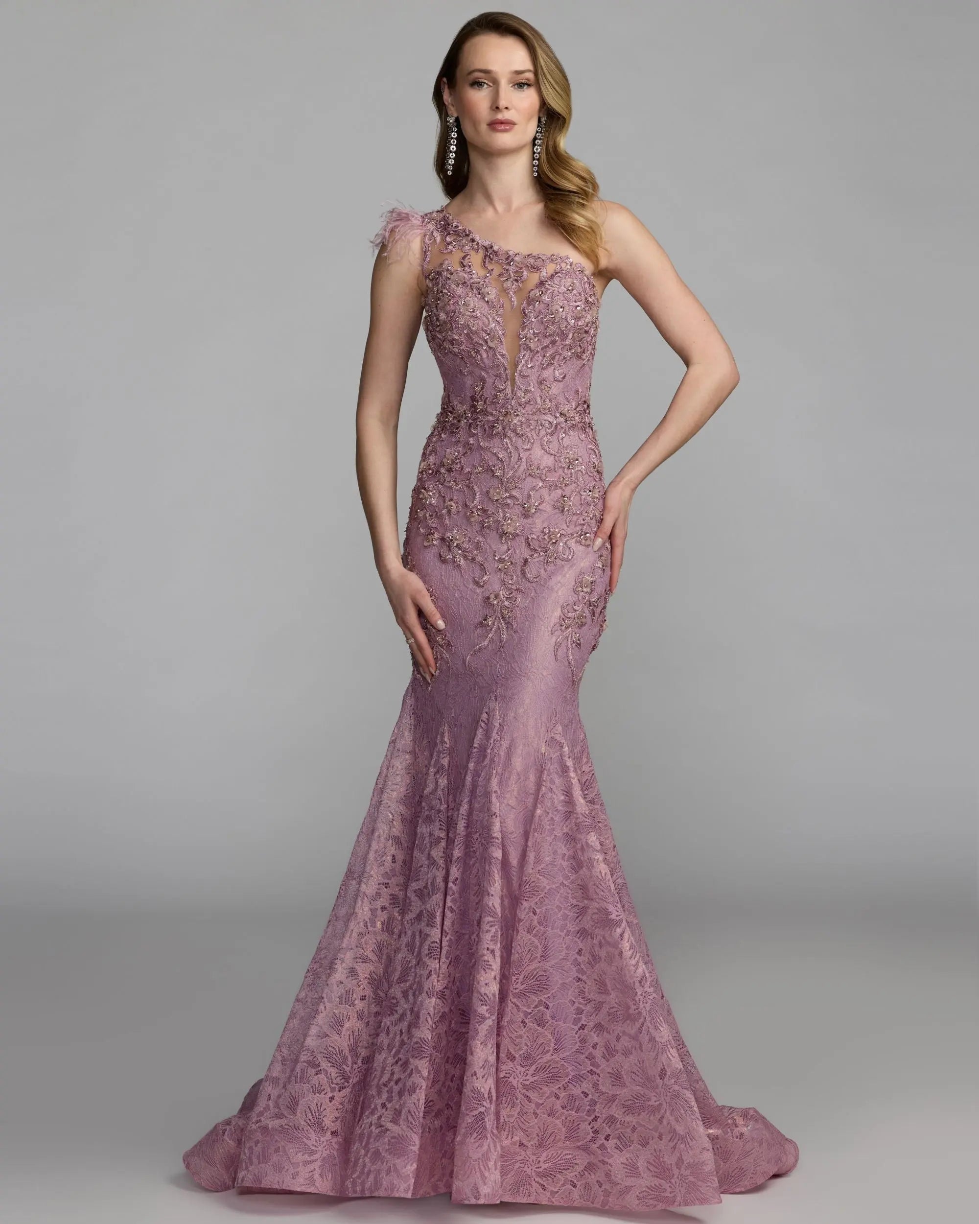 Pink Embellished Lace One Shoulder Gown With Feather Detail-Myartka