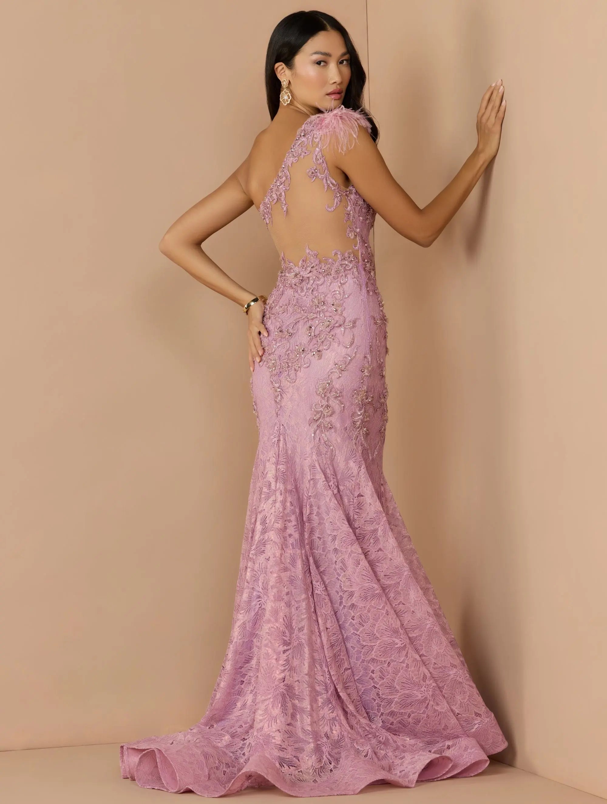 Pink Embellished Lace One Shoulder Gown With Feather Detail-Myartka