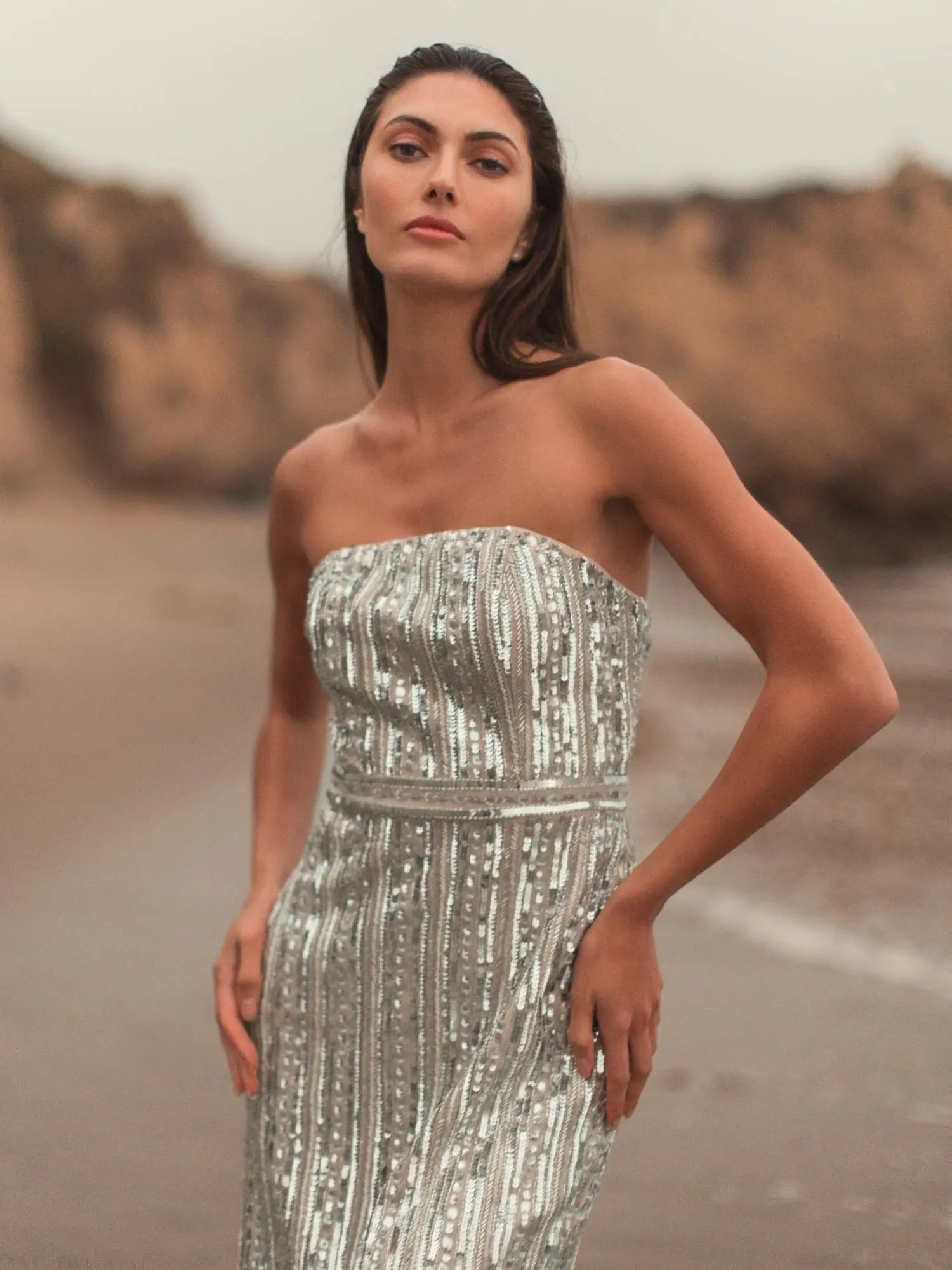 Silver and Beige Embellished Strapless Sheath Dress-Myartka