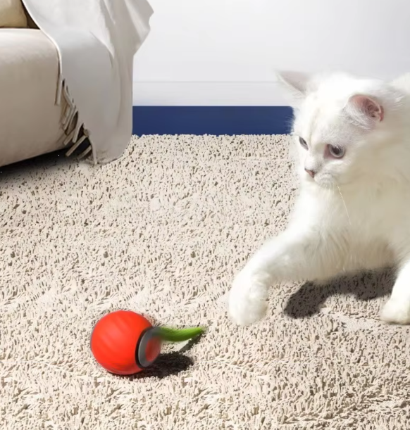 🐱SPEEDY TAIL 2.0🎾