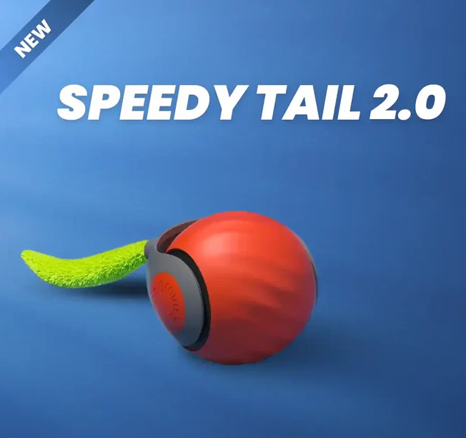 🐱SPEEDY TAIL 2.0🎾
