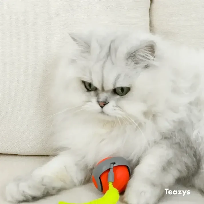🐱SPEEDY TAIL 2.0🎾