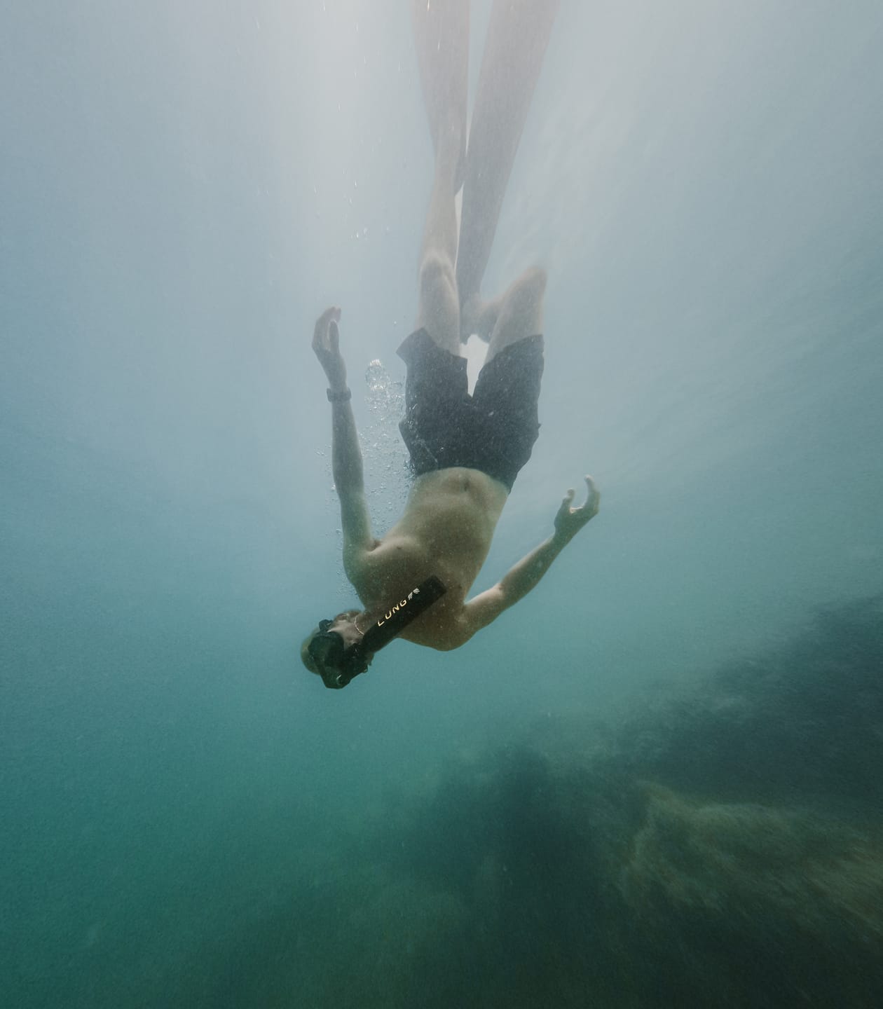 Customer photo review of Lung T-500 + Hand Pump