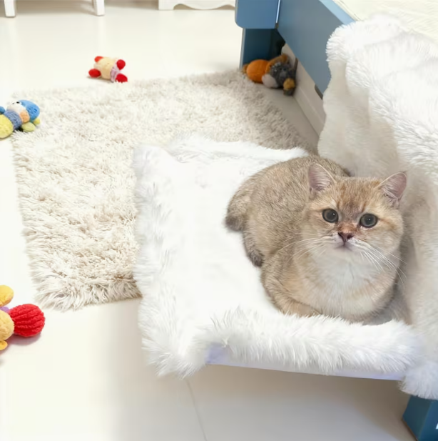 🐱 Cat Window Hammock | Soft Plush Pet Bed, No-Drill Universal Hanging Bed