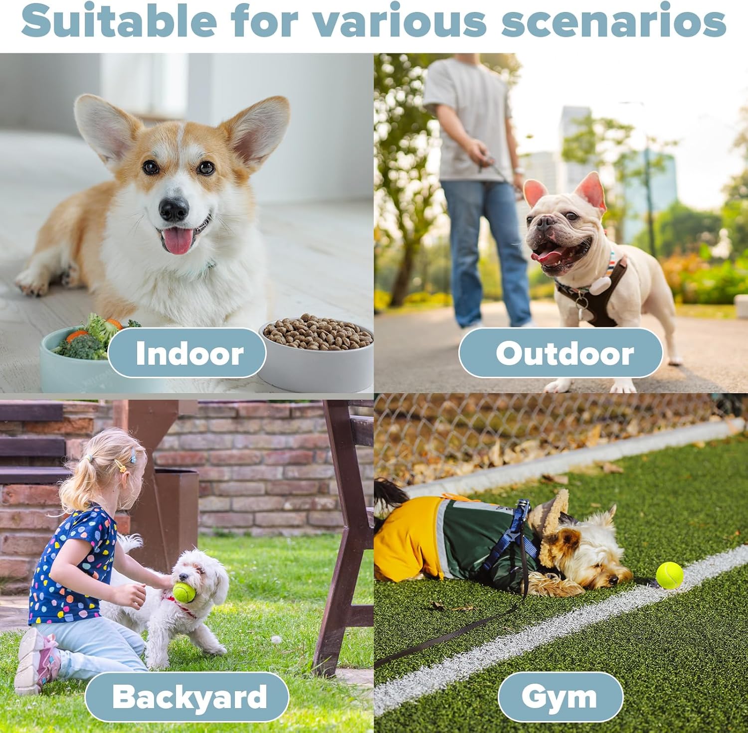 Automatic Dog Ball Launcher | Interactive Pet Toy with 6 Tennis Balls 🐶🎾