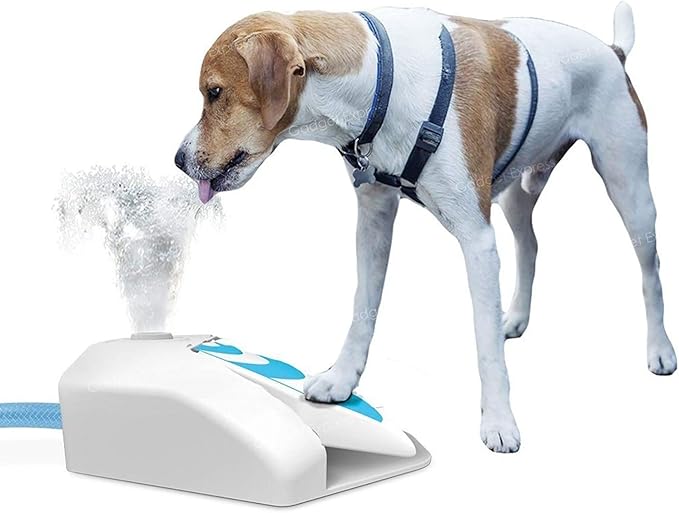 🐶 Dog Garden Water Fountain Sprinkler Toy