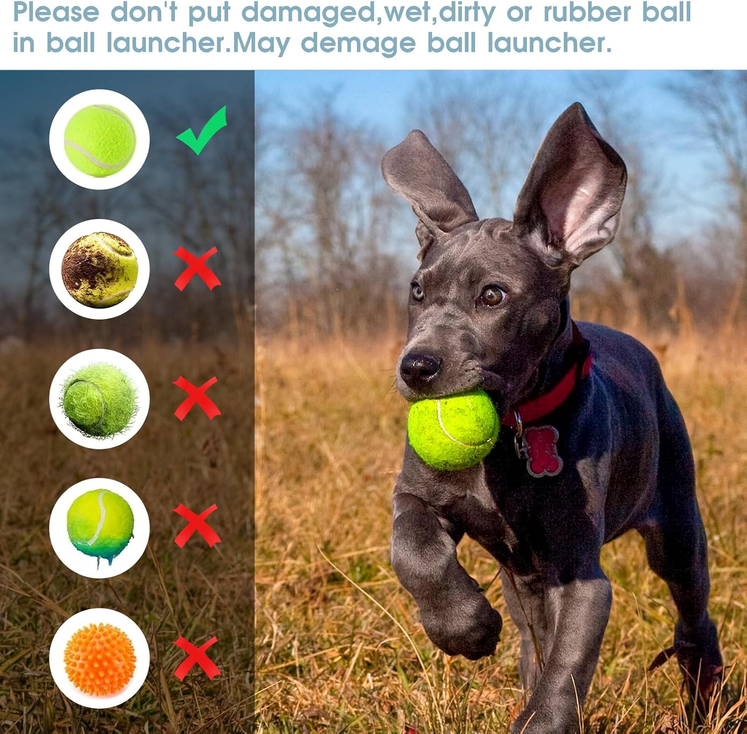 Automatic Dog Ball Launcher | Interactive Pet Toy with 6 Tennis Balls 🐶🎾