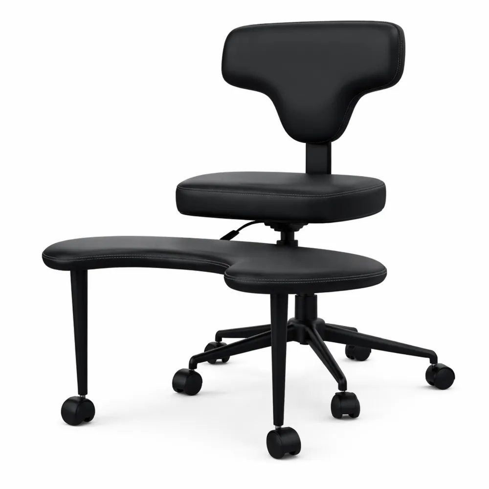 Chaise ergonomique réglable avec support lombaire