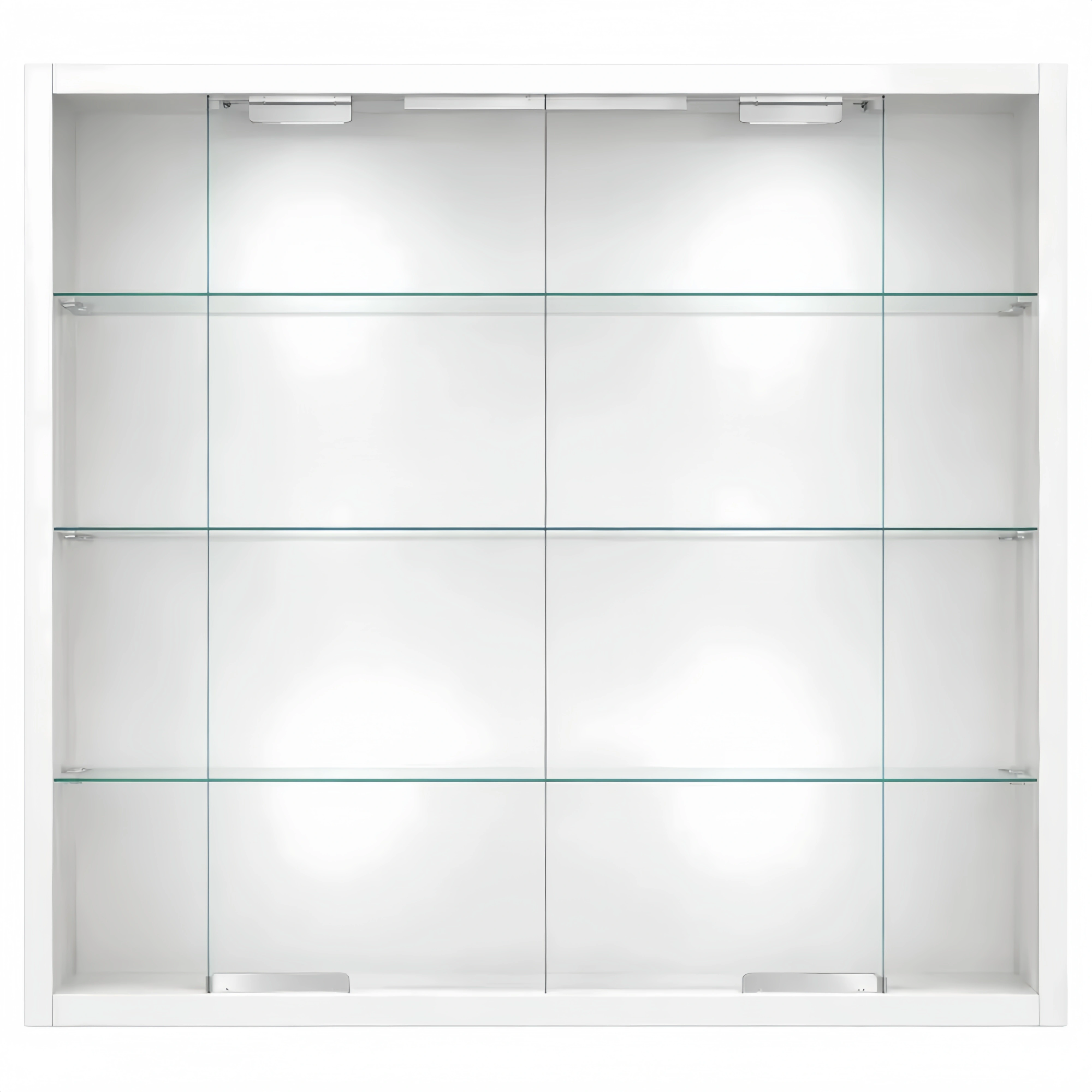 Vitrine Murale Suspendue en Verre et Bois