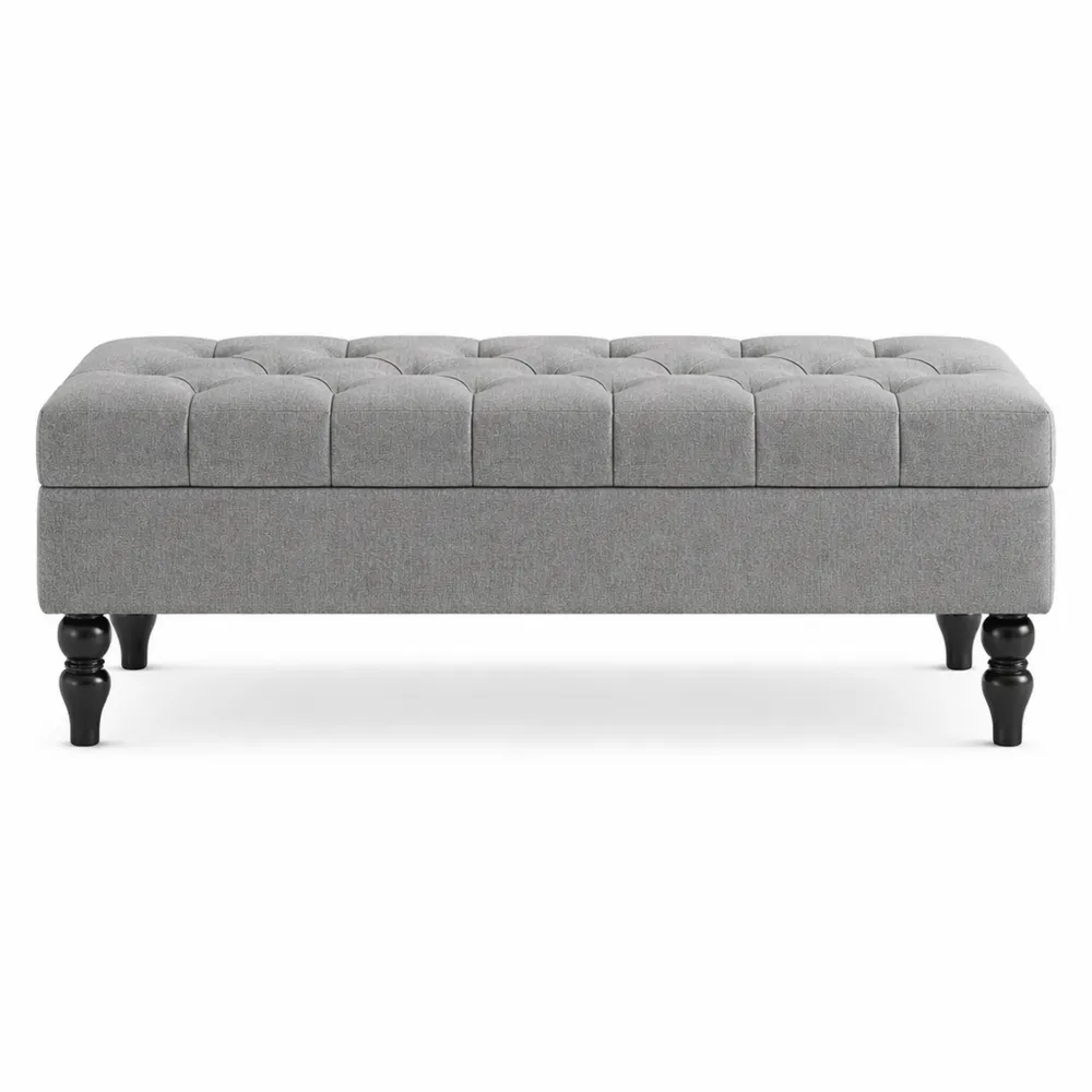 Banc de Rangement Moderne avec Coussin pour Salon et Entrée