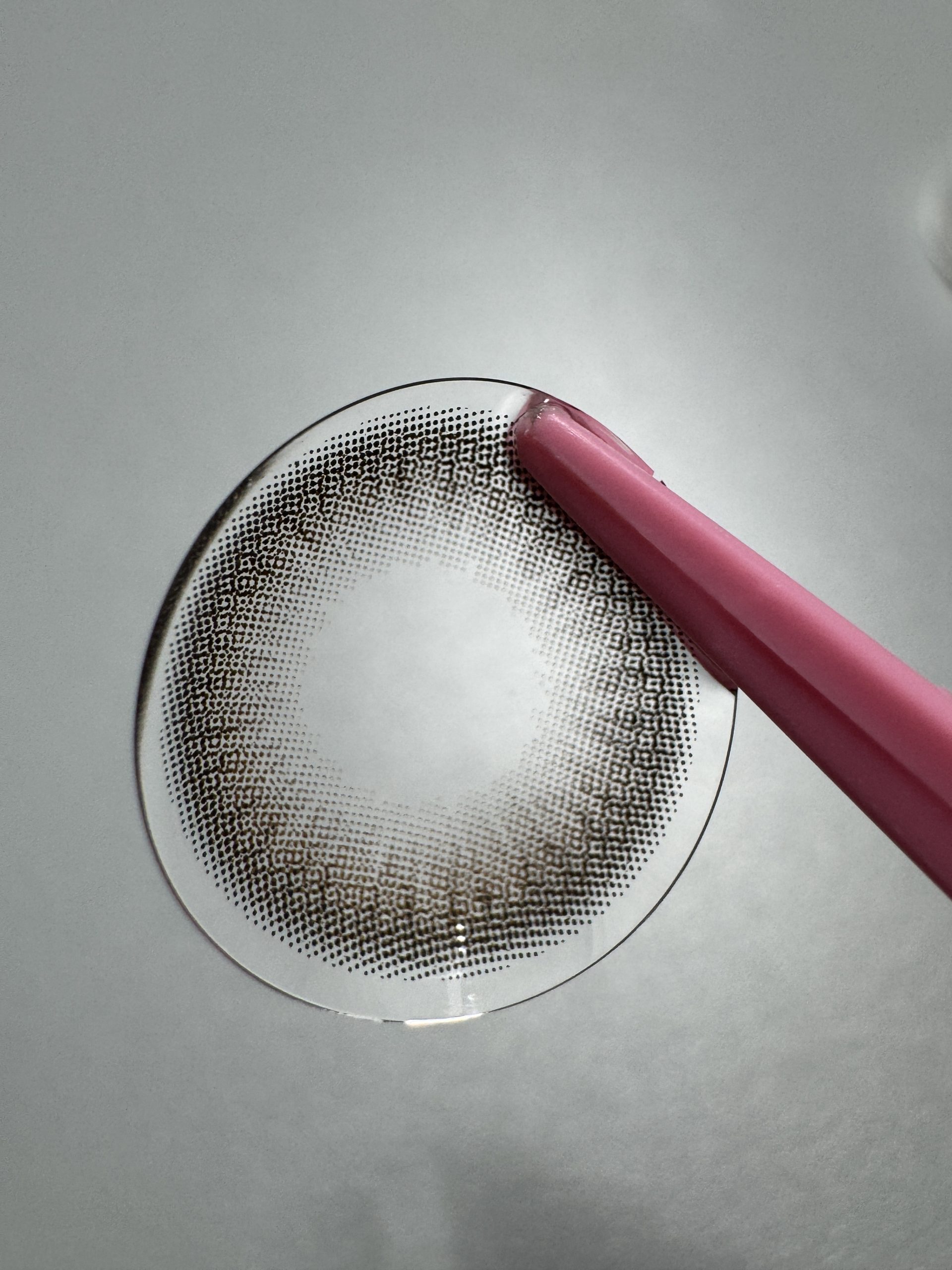 Umber Brown (1 year)