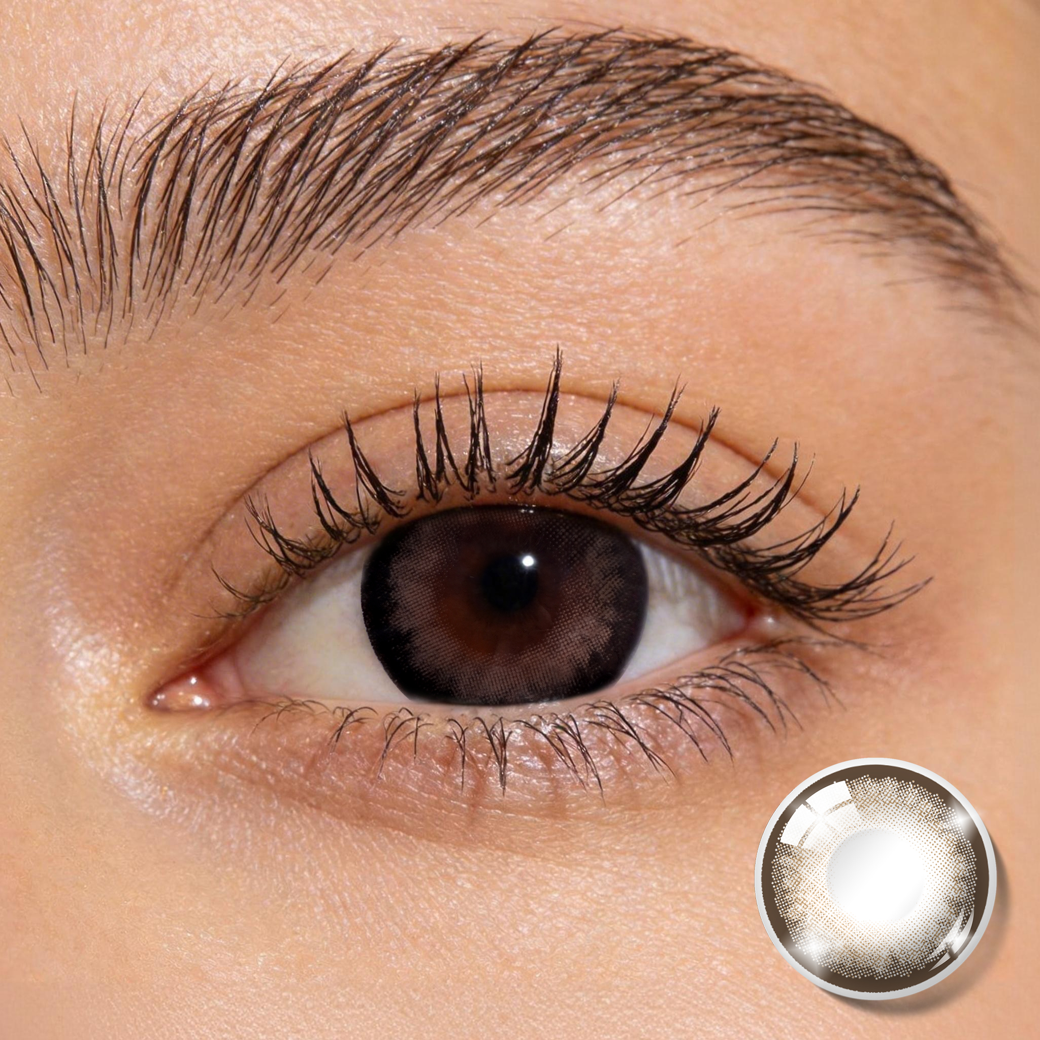 Godestar Toffee Brown Colored Contact Lenses – Warm Sun-Kissed Brown Contacts for Dark Eyes | 6 Months Wear