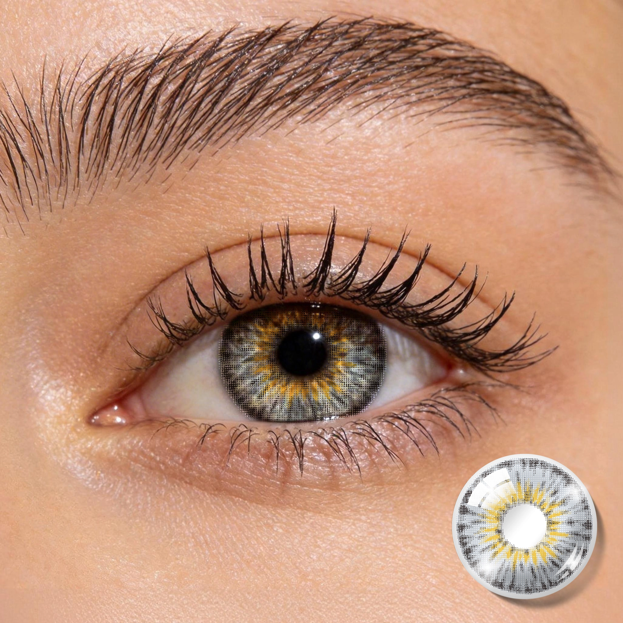 Miiemo Amber Haze Cool Gray Colored Contact Lenses – High Opacity Grey Contacts for Dark Eyes | 6 Months Wear