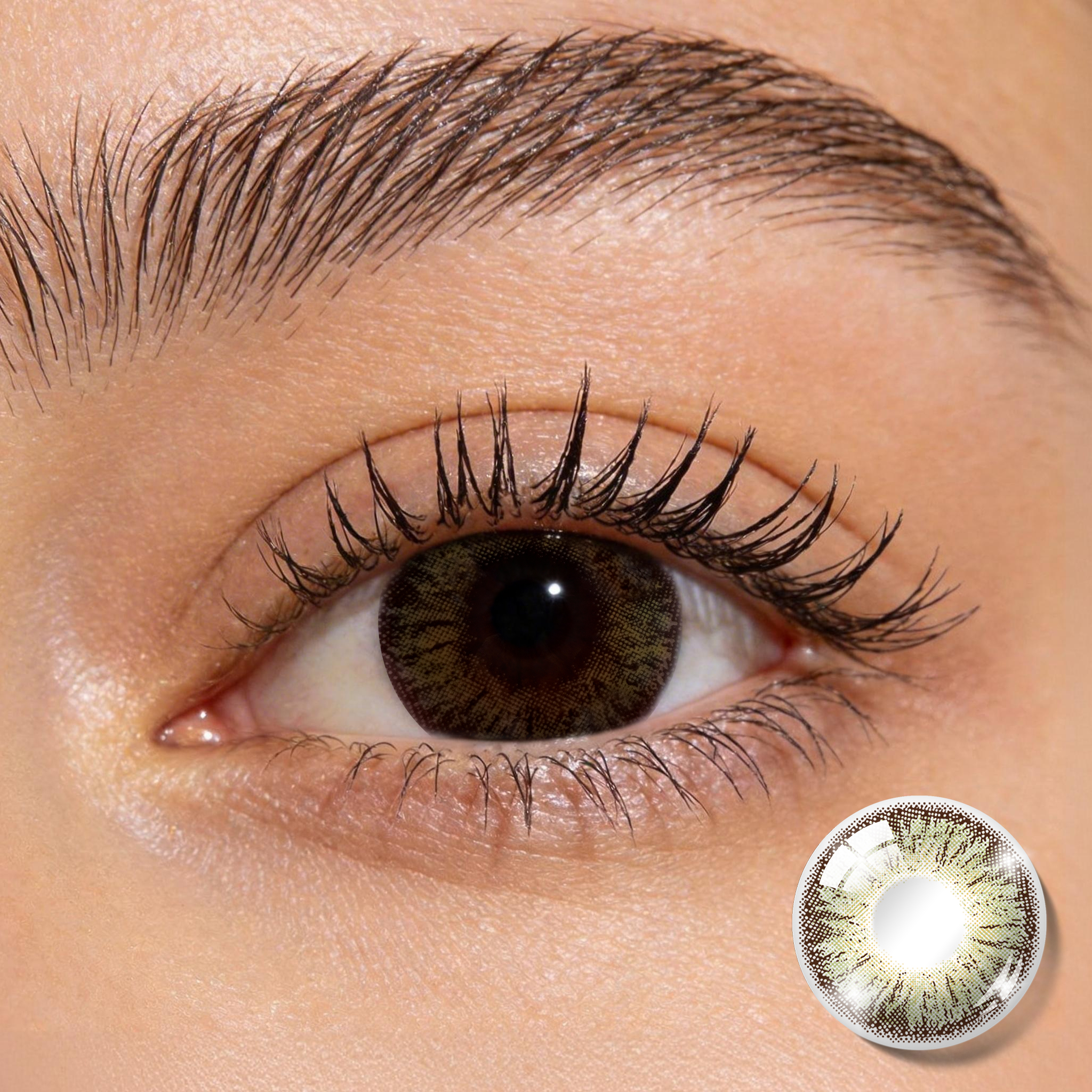 Godestar Olive Green Gold Feather Colored Contact Lenses | Earthy Eye Glow, 6 Months Wear