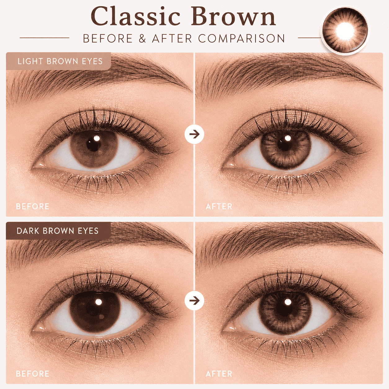 GODESTAR Classic Brown Colored Contacts – Natural Warm Brown 6-Month Lenses