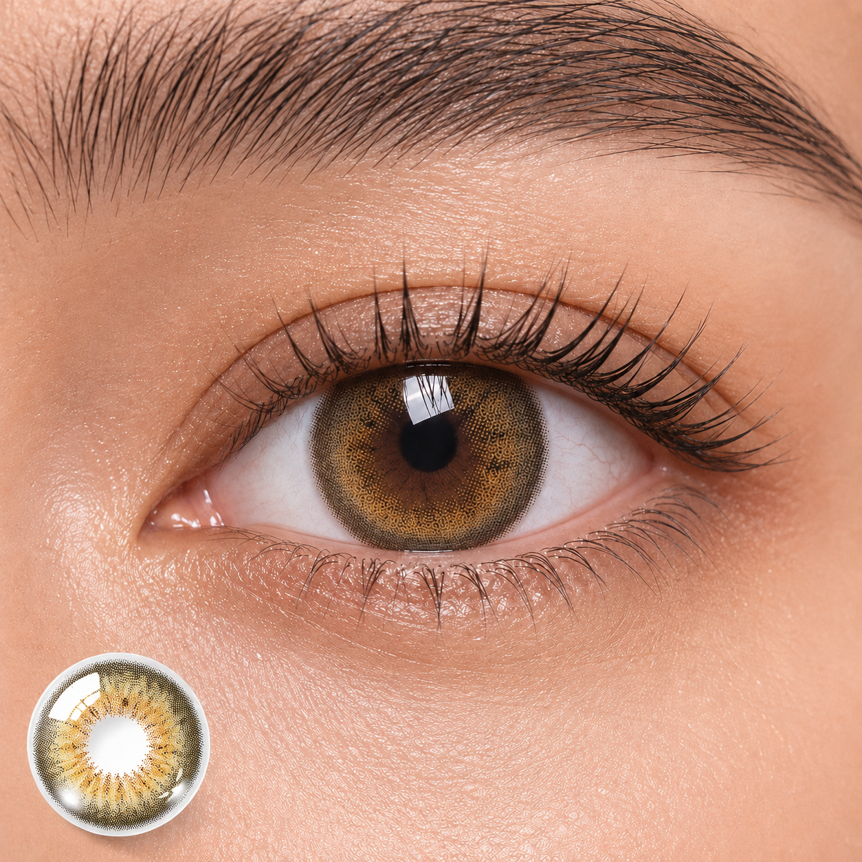 Godestar Halo Honey Brown colored contacts on eye with natural golden brown halo effect