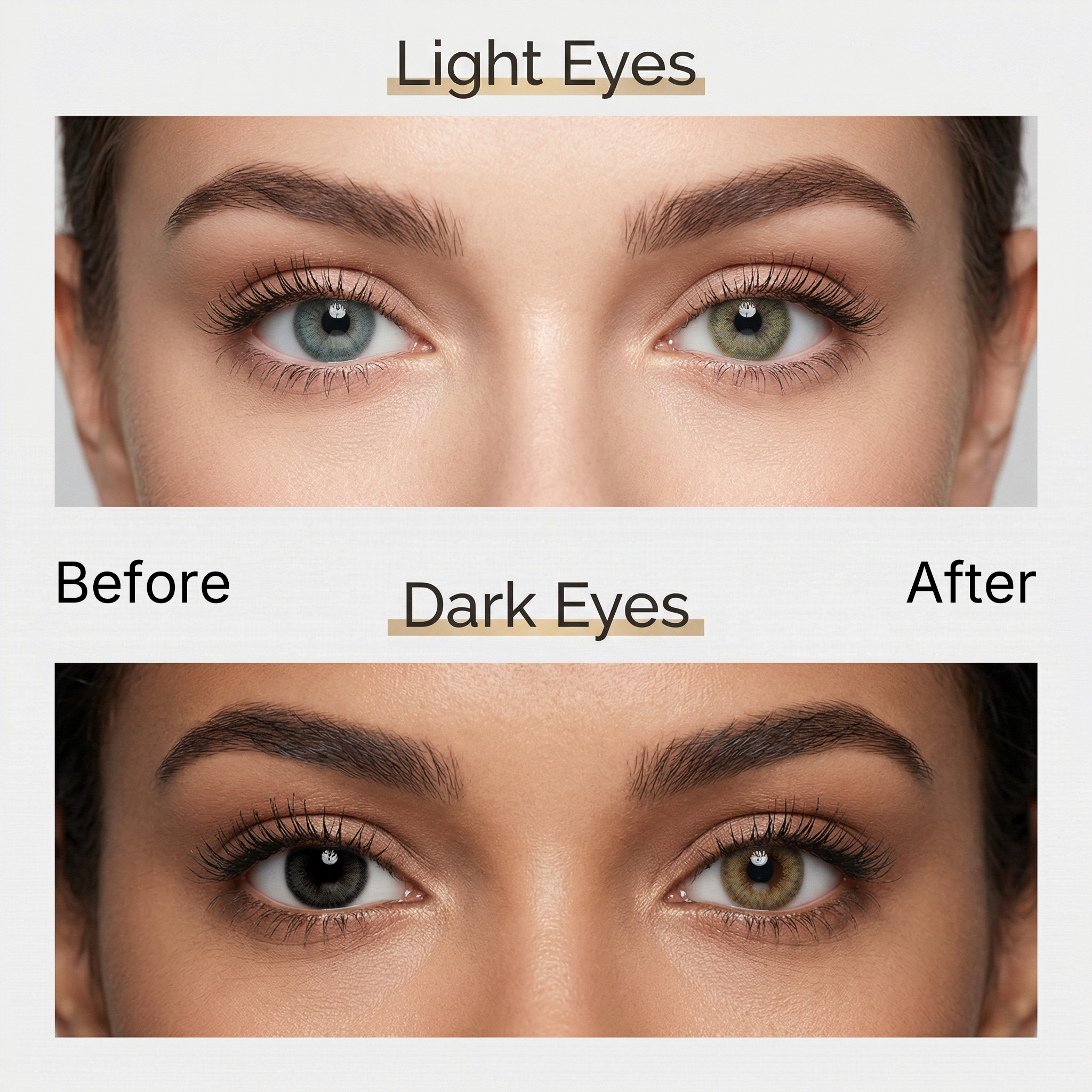 MIIEMO Cocoa Brown Colored Contacts (6 Months)
