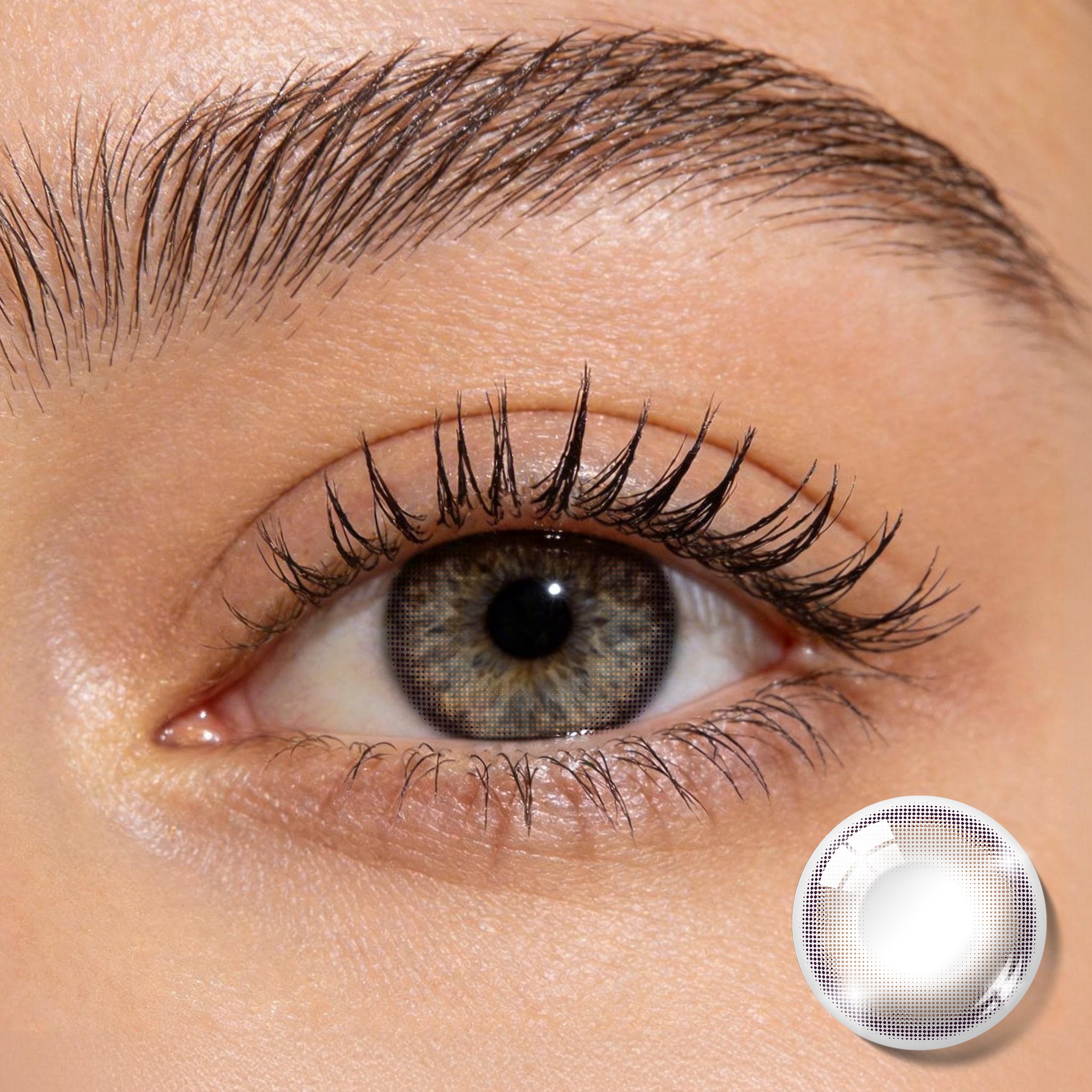 Godestar Velvet Cocoa Colored Contacts – Natural Muted Chocolate Lenses for Dark Eyes | 6 Months Wear