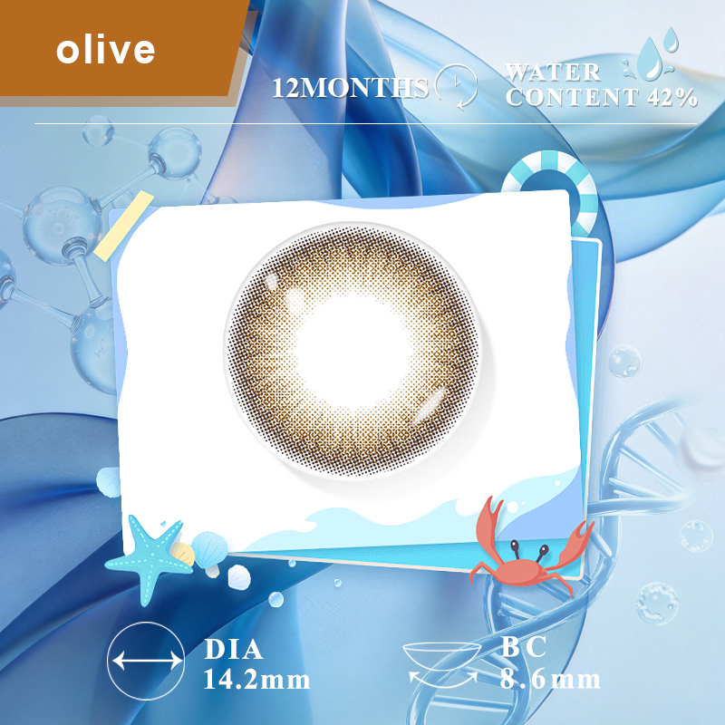 Olive brown (1 Year)