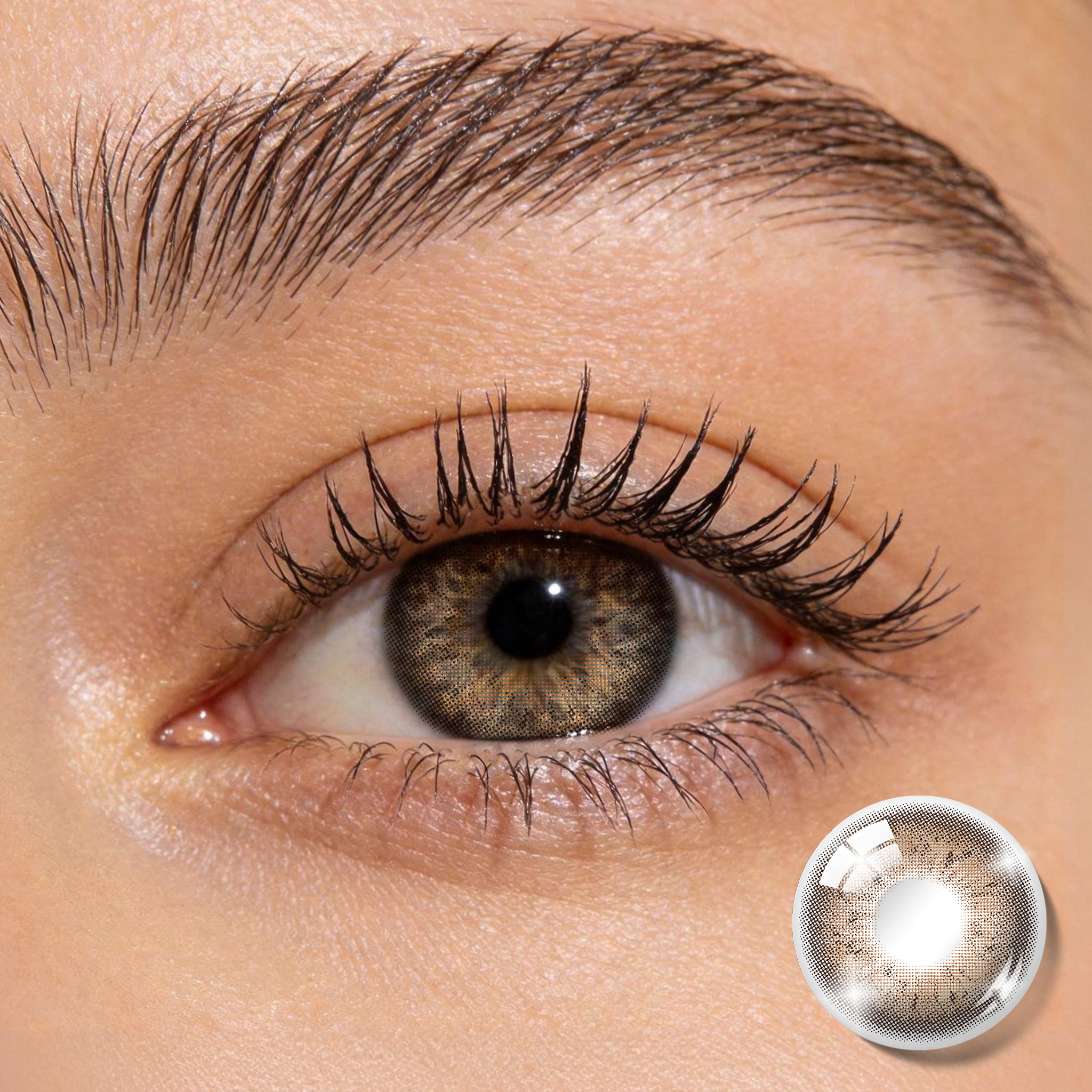 Warm Hazel Plaid Colored Contacts | Cozy Natural Glow, 6 Months