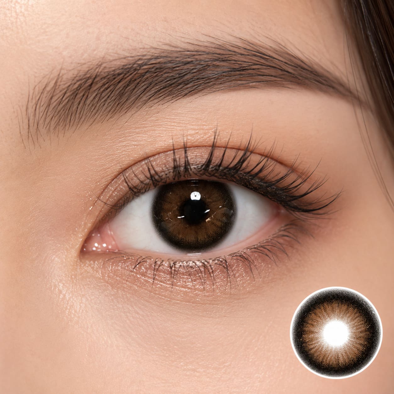 GODESTAR Classic Brown Colored Contacts – Natural Warm Brown 6-Month Lenses