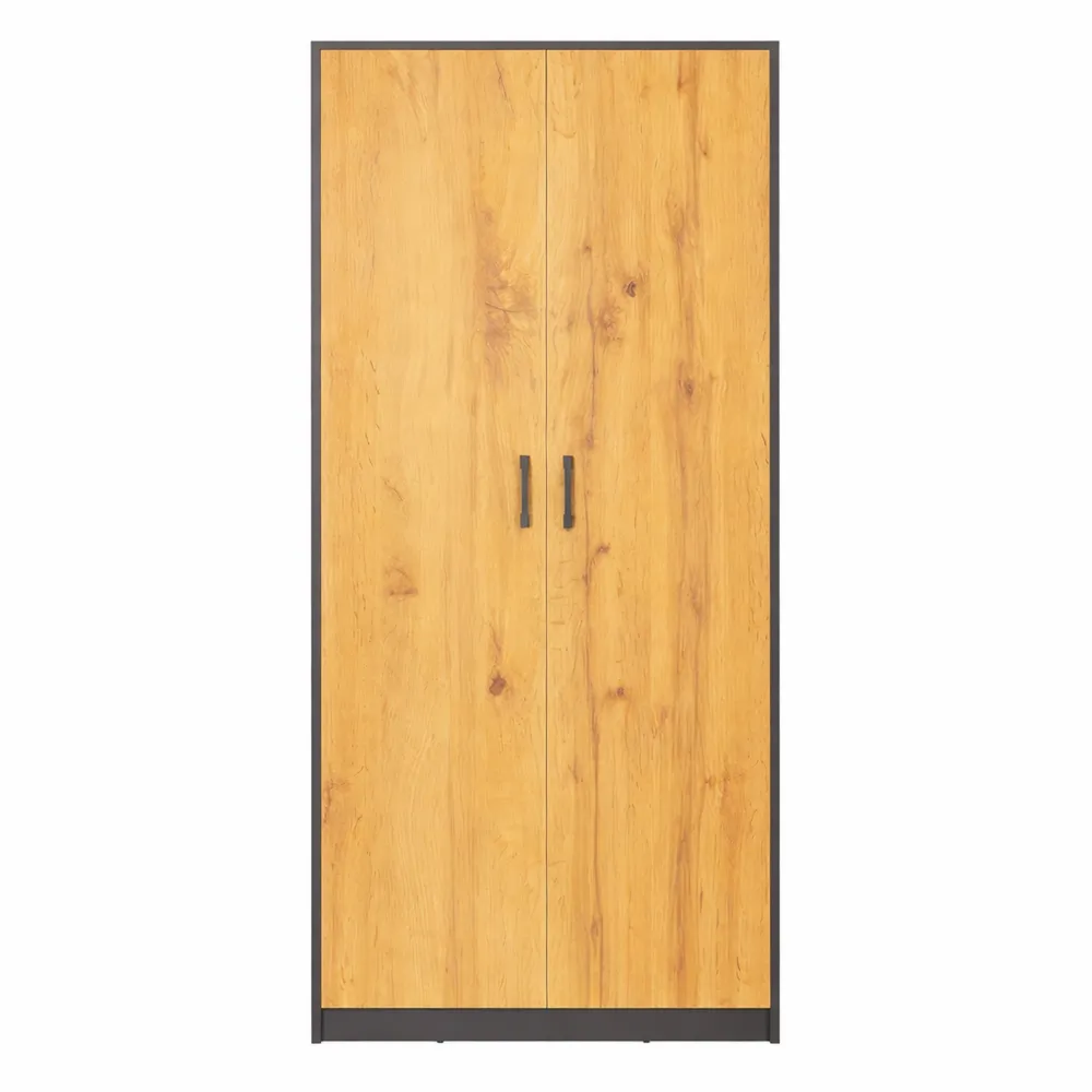 Armoire de Rangement Fonctionnelle à 5 Compartiments et 2 Portes