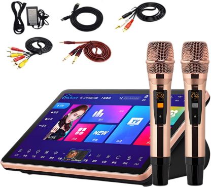 Karaoke con mezclador 18,5 pulgadas - sistema profesional - dos micrófonos inalámbricos - canciones en línea - modelo A 1T-Havenupyard