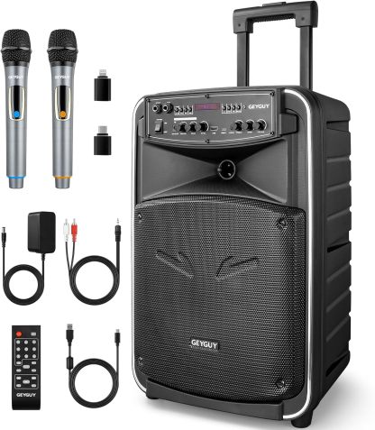 Altavoz PA portátil 12 pulgadas - karaoke Bluetooth profesional con trolley - dos micrófonos inalámbricos - DSP FM USB C TWS TV-Havenupyard
