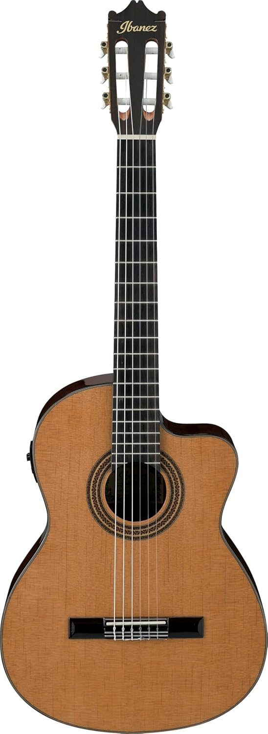 Ibanez AEQ2T guitarra electroclásica de concierto - acabado natural tapa de pícea caoba y pastilla bajo selleta-Havenupyard