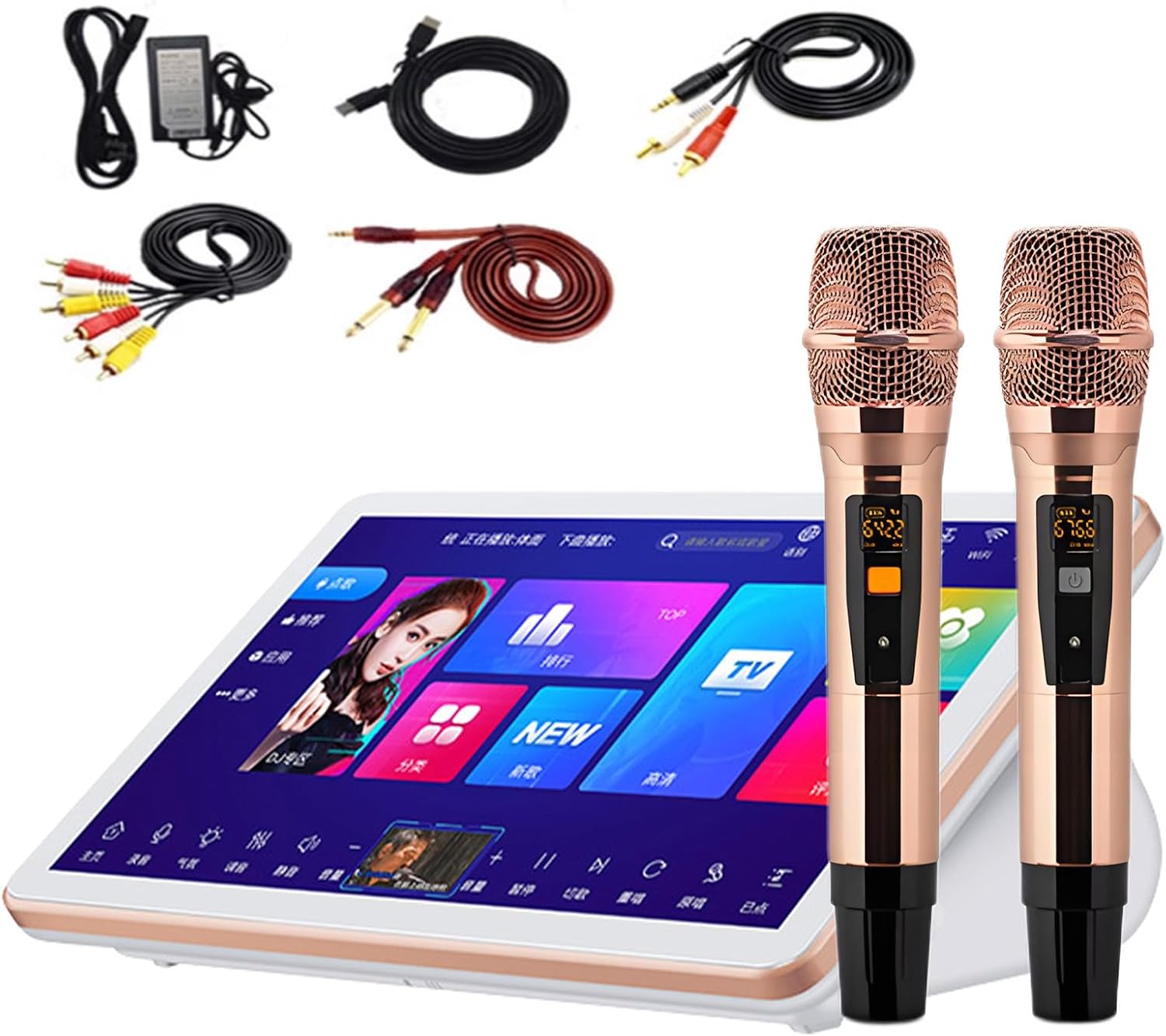 Karaoke profesional con mezclador LURECAQING B-2T - pantalla táctil 18,5 pulgadas 2 micrófonos y canciones en línea-Havenupyard